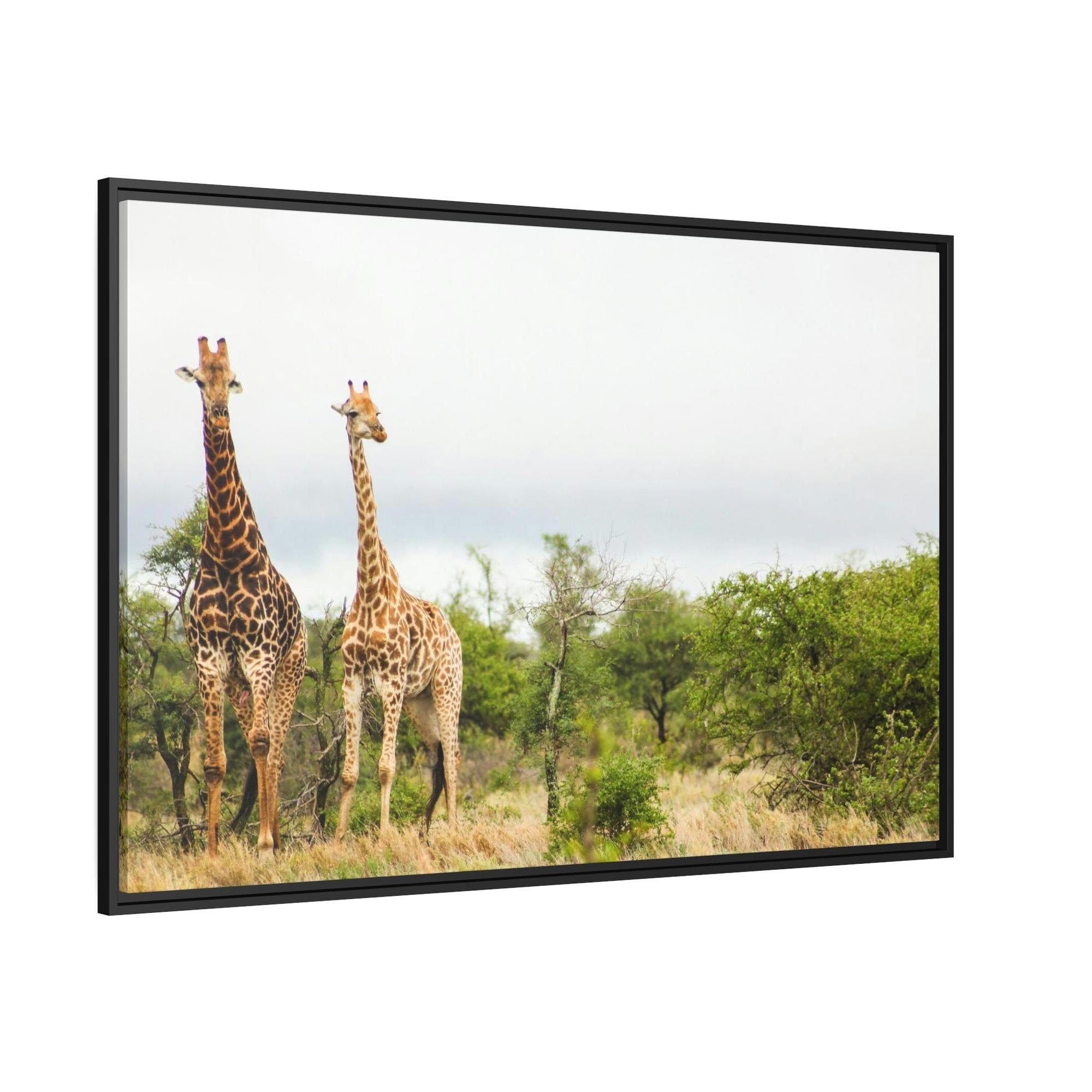 Safari Safari Adventure: An Epic Journey Through the African Wilderness