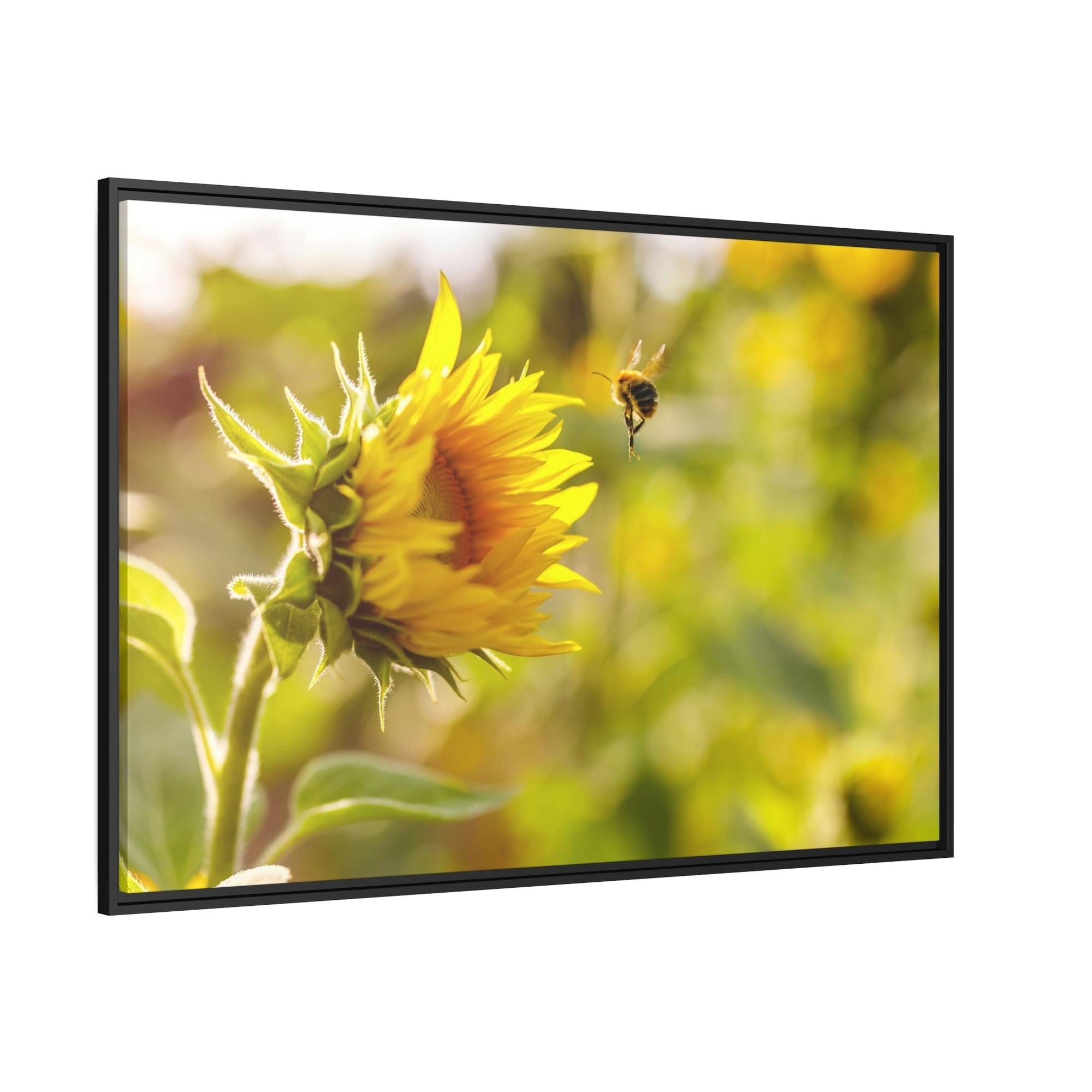 Sunflowers Blooming Sunshine: A Breathtaking and Inspiring Vision of Nature's Delight