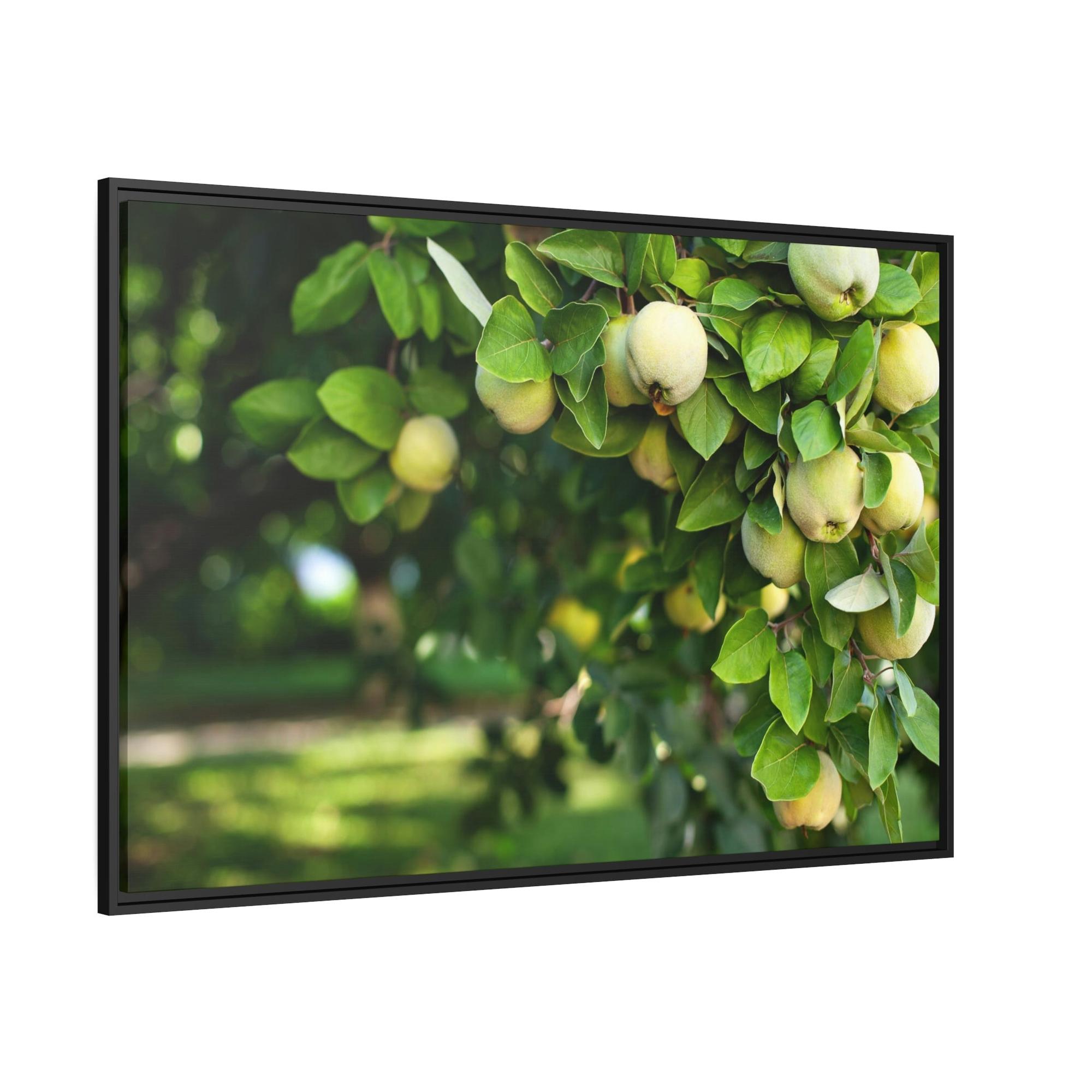 Fruit Trees Harvest Time: Fruit Trees Painting on Canvas