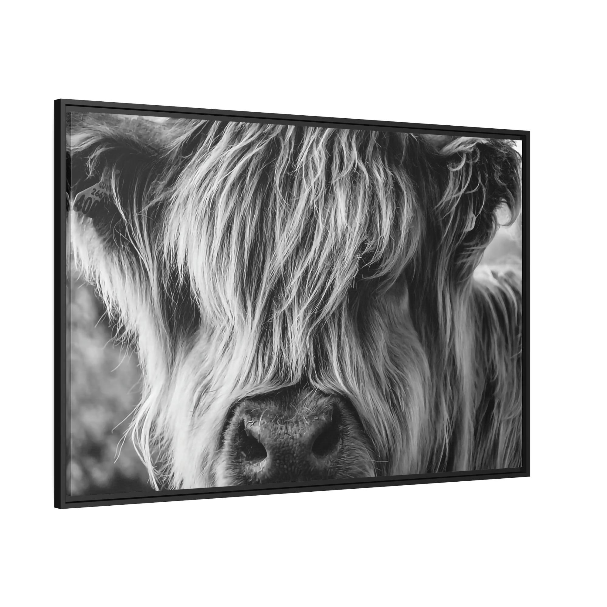 Highland Cow Highland Cow | Close-up View of Fluffy Buffalo on Canvas — Pixoram
