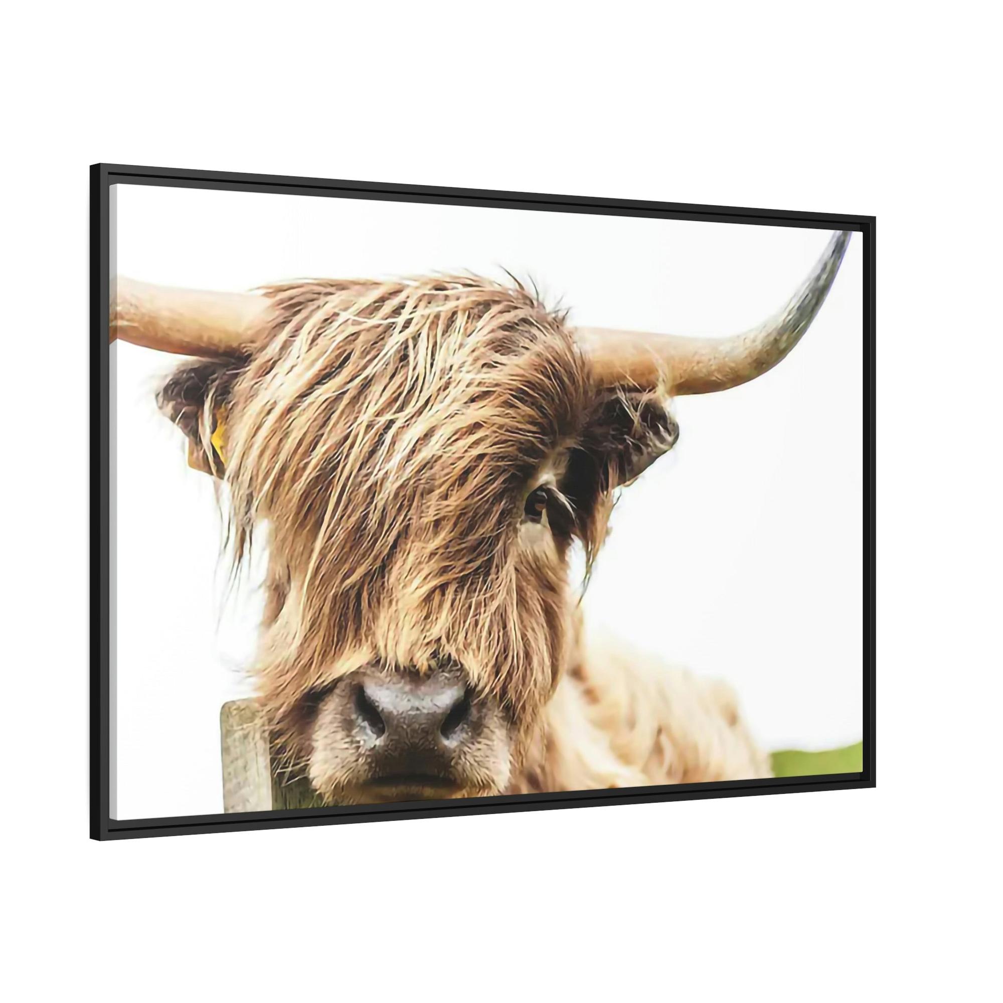 Highland Cow Highland Cow Canvas Wall Art | Mellow Highland Cow | Canvas Art — Pixoram