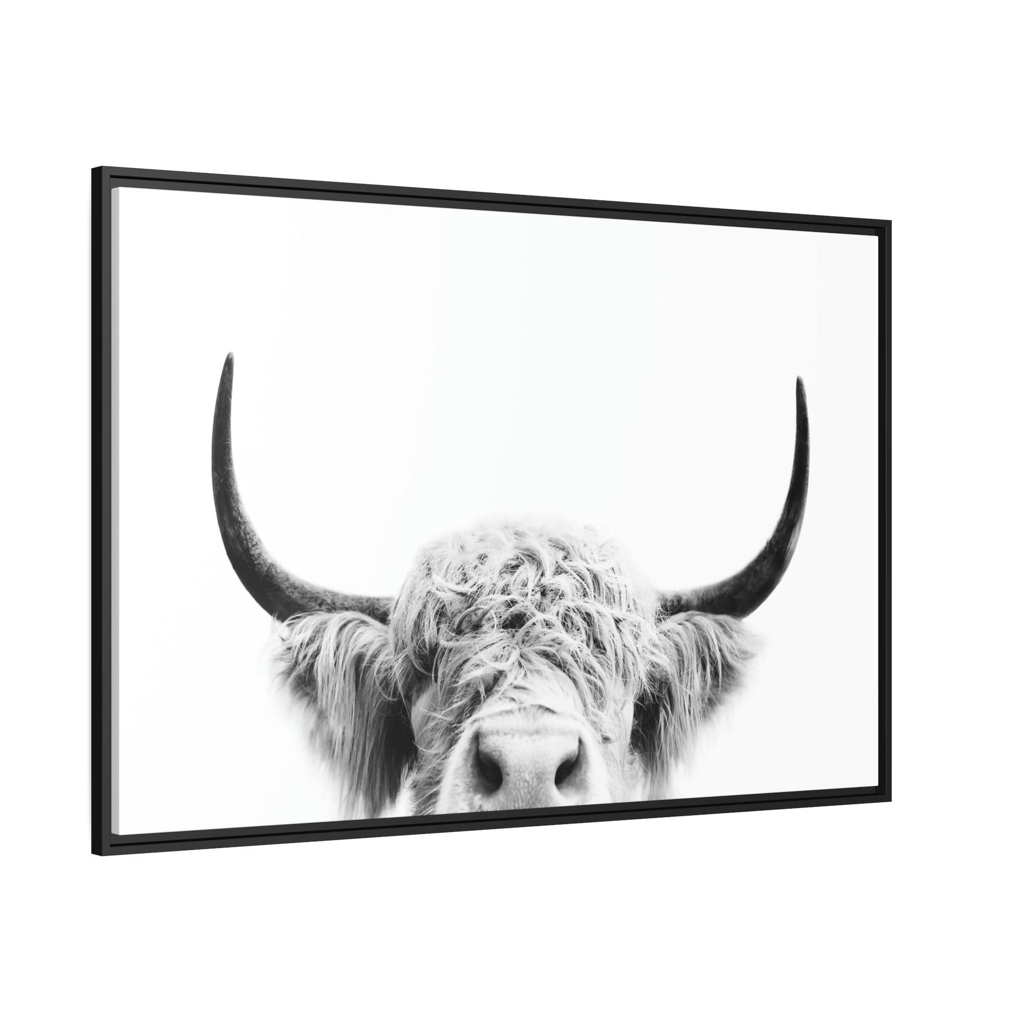 Highland Cow Highland Cow | Close-up of a Horned Cow | Wall Art — Pixoram