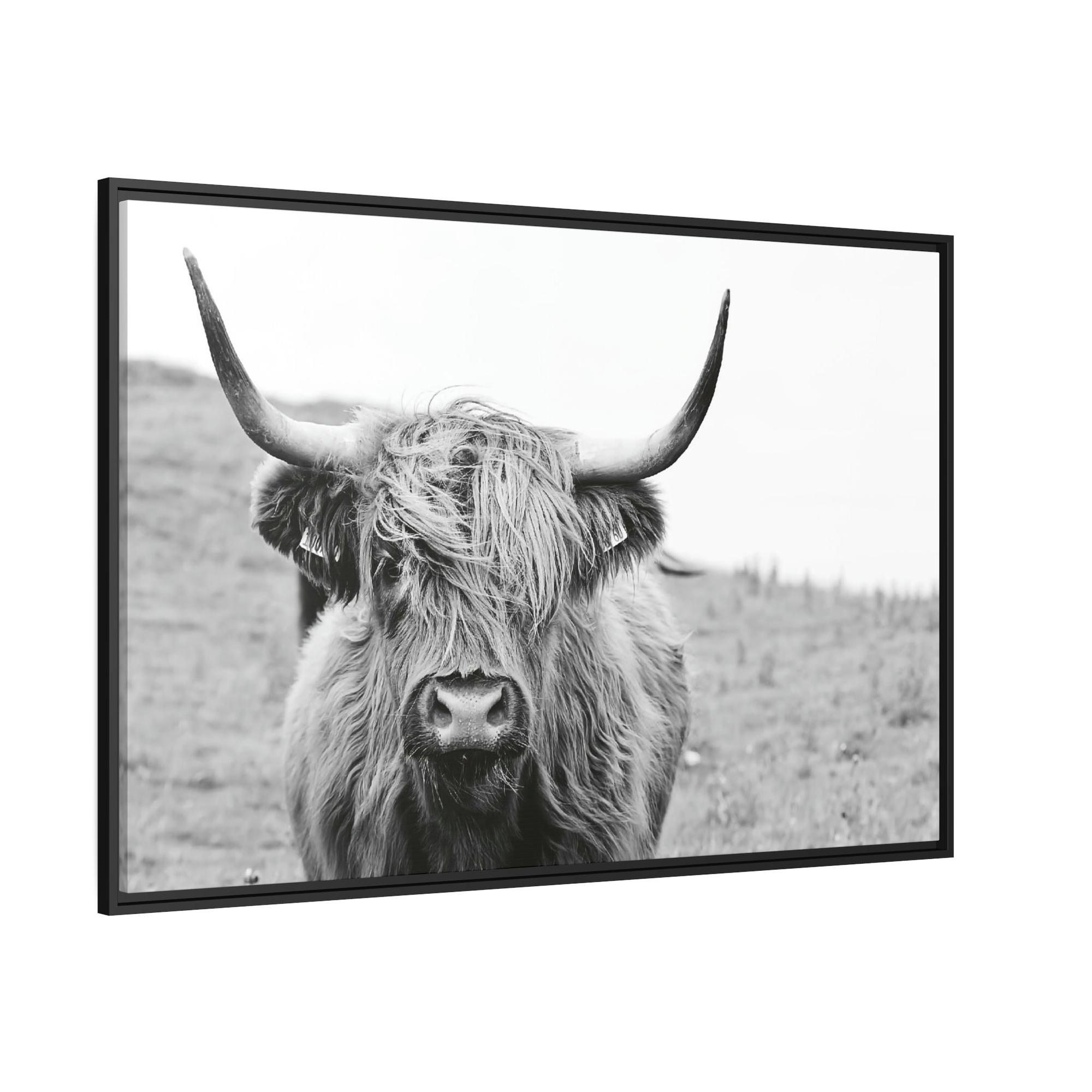 Highland Cow Highland Cow Wall Art | Black-White Colors | Canvas Art — Pixoram