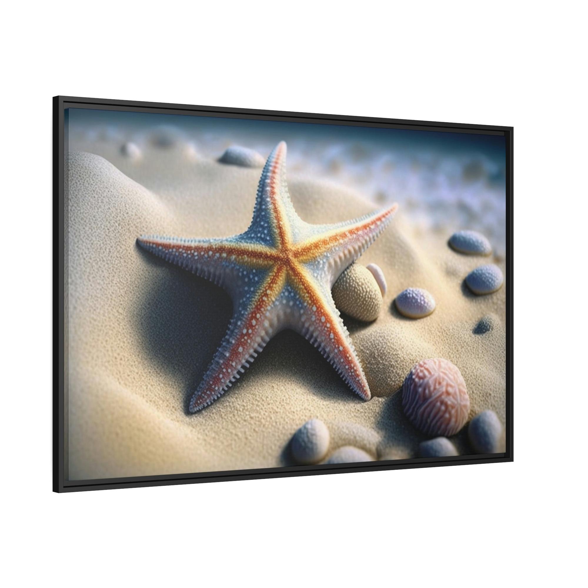Starfishs Starfish Tales: A Story of Sea Life and Wonder