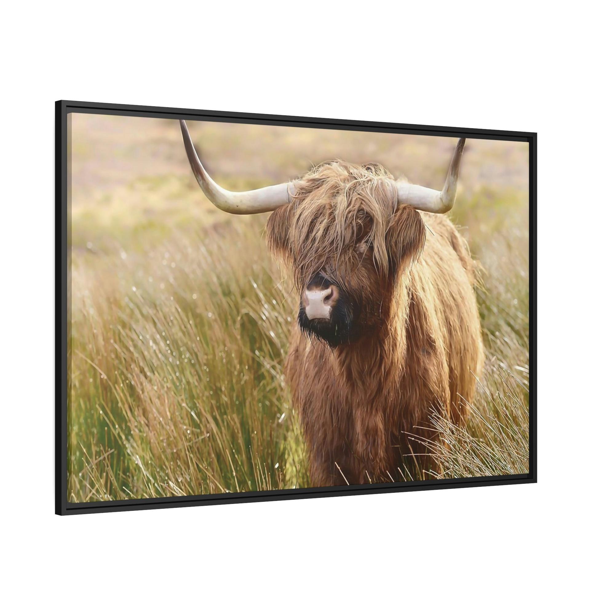 Highland Cow Highland Cow | Cow in the Morning Dew | Wall Art — Pixoram