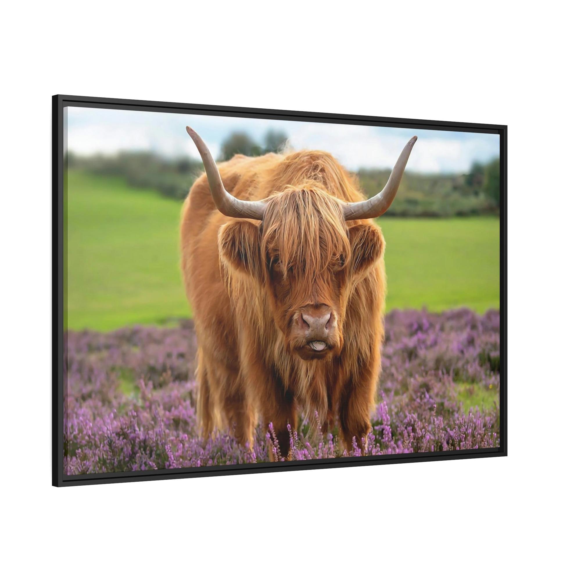 Highland Cow Highland Cow | Brown Cow in the Flowering Field | Canvas Art — Pixoram