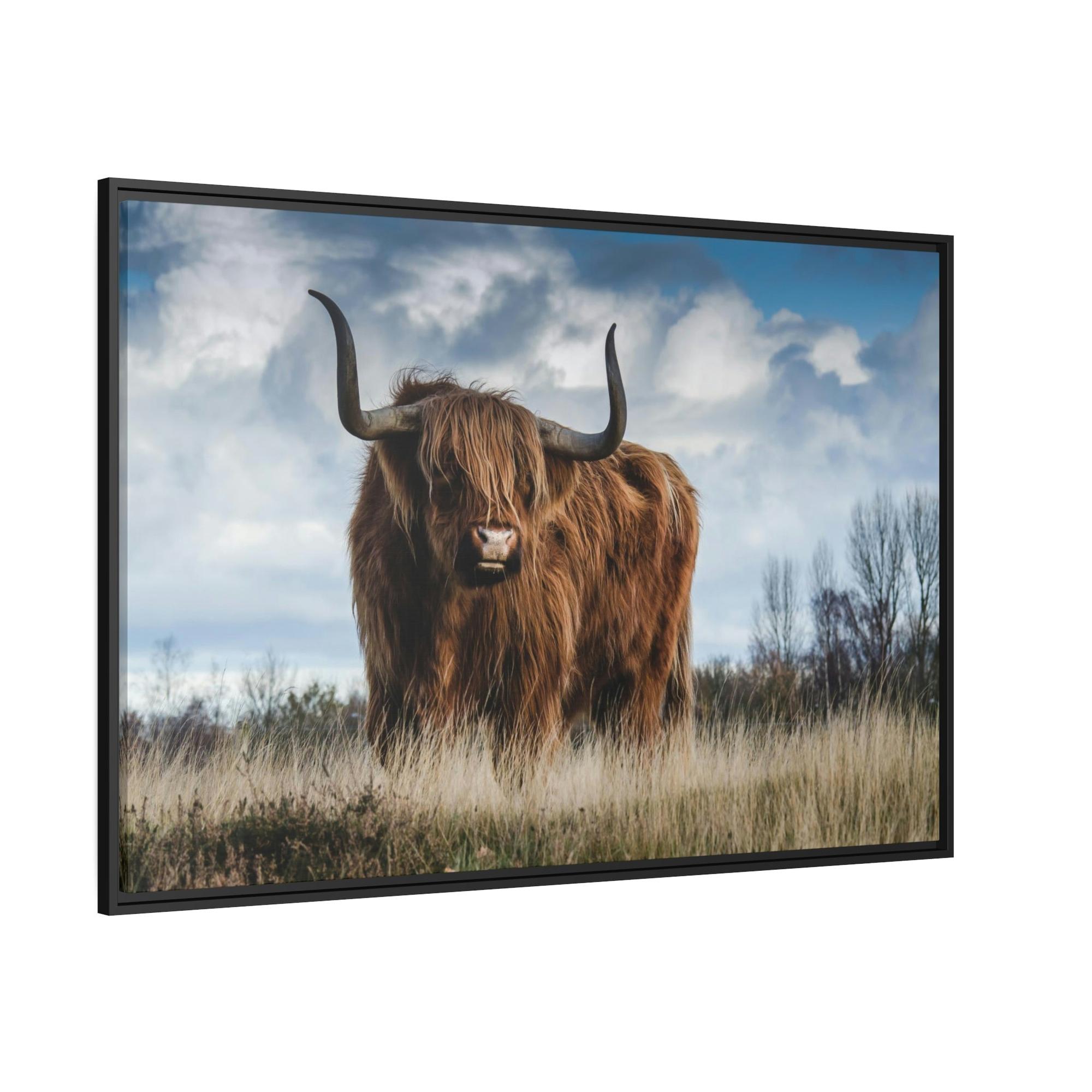 Highland Cow Scottish Long Haired Cattle - Wall Art - Highland Cow | Animals Art