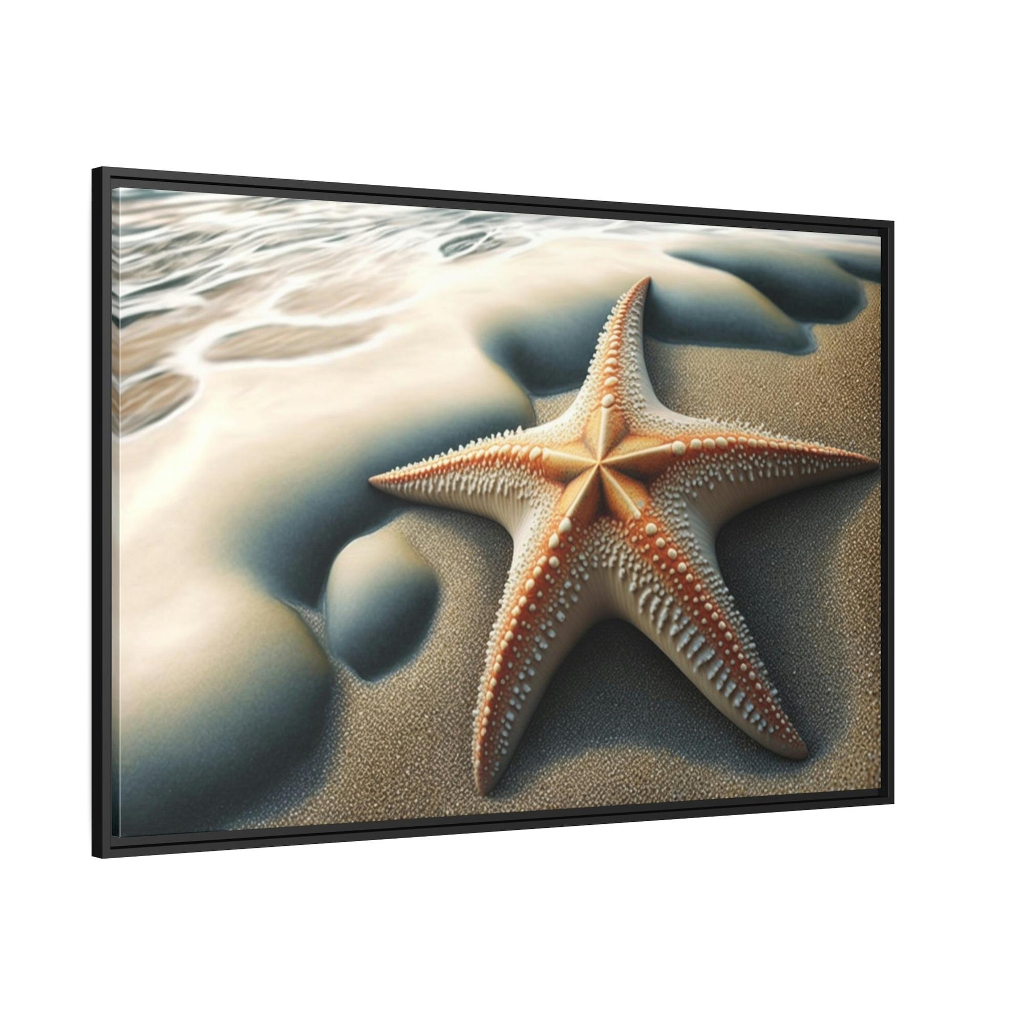 Starfishs Coral Kingdom: Starfish Edition