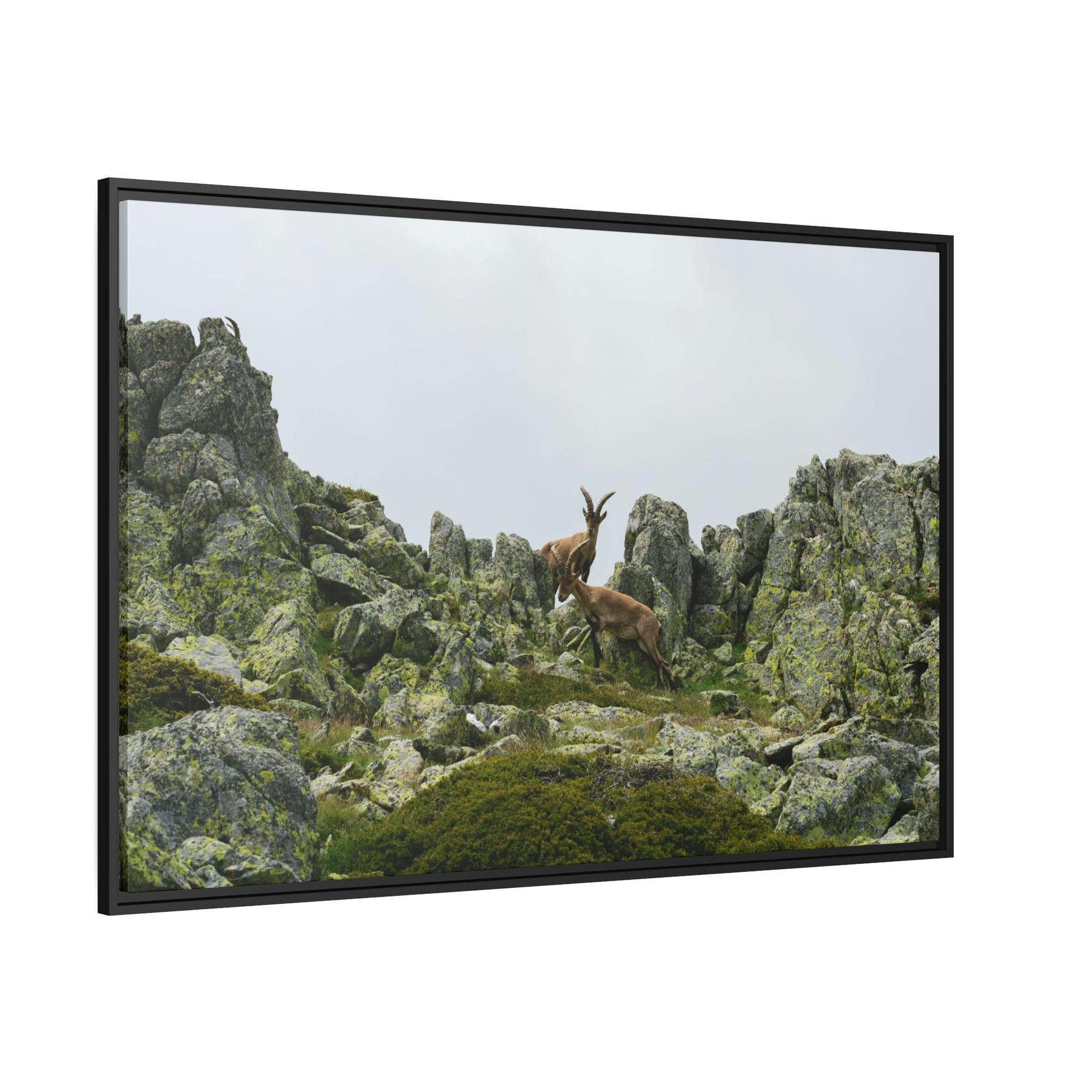 National Parks Natural Beauty: National Parks Canvas Art