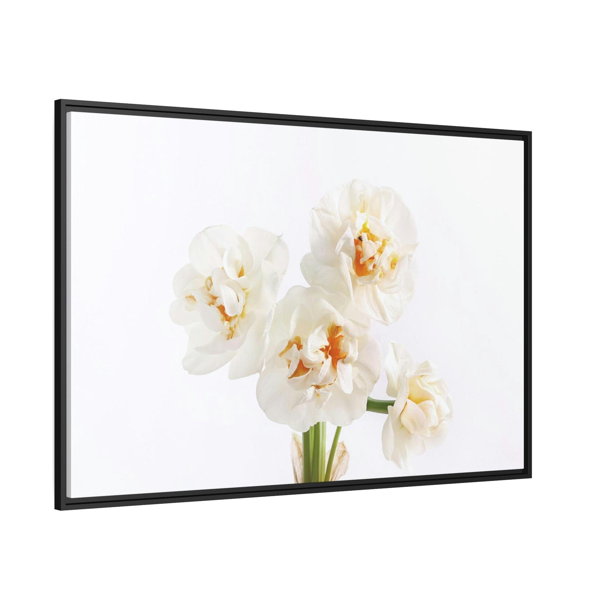Daffodils Daffodil Harmony: A Peaceful Palette