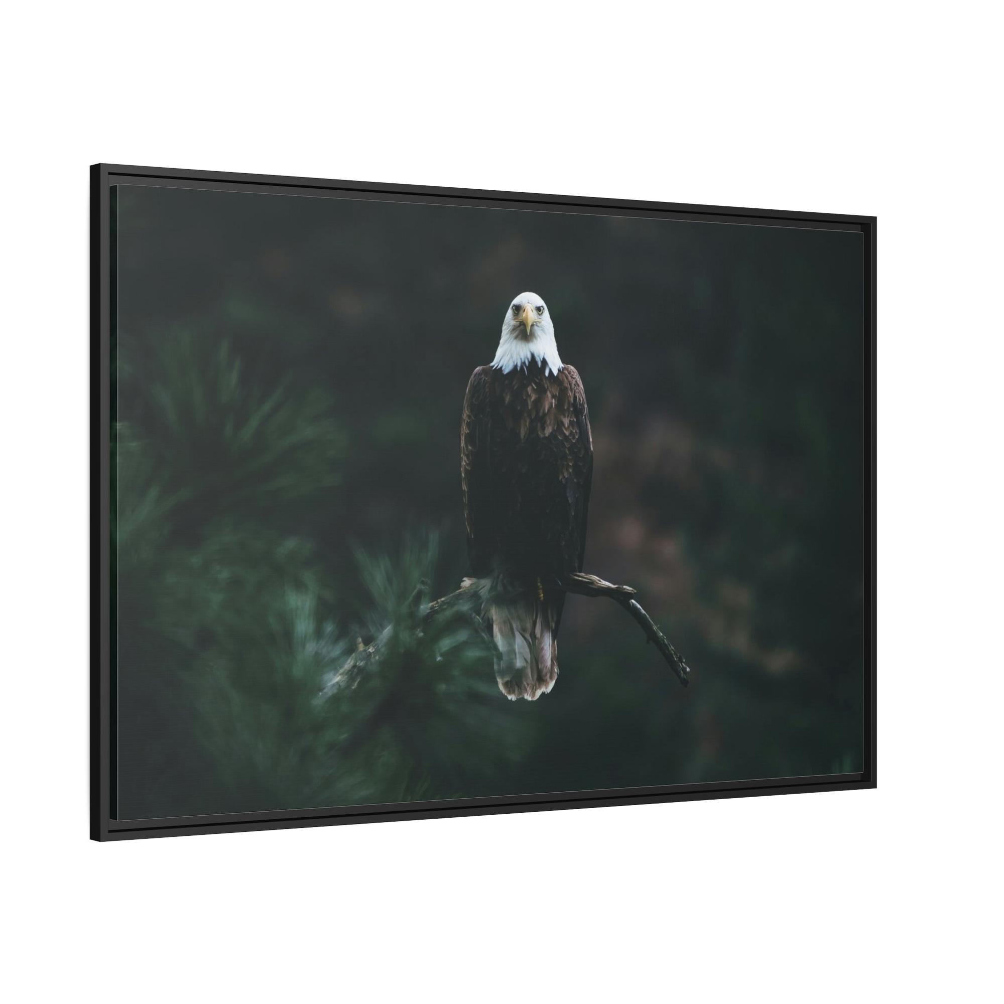 Eagles Eagle's Serenity: Canvas Print, Capturing their Tranquil and Regal Aura