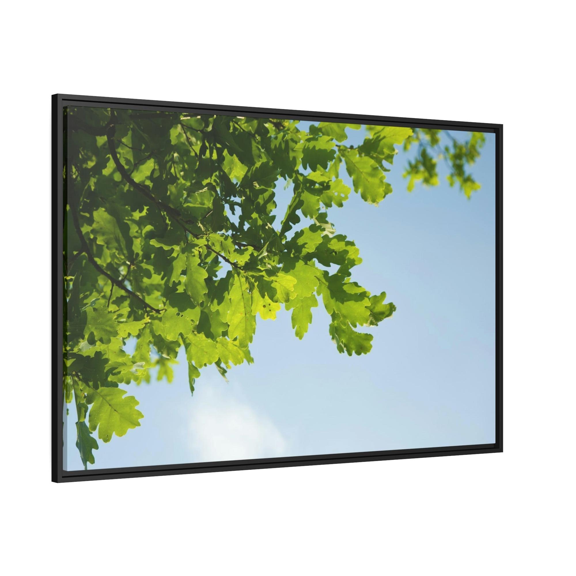 undefined Oak Trees' Radiance: A Luminous Vision of the Forest's Brilliance