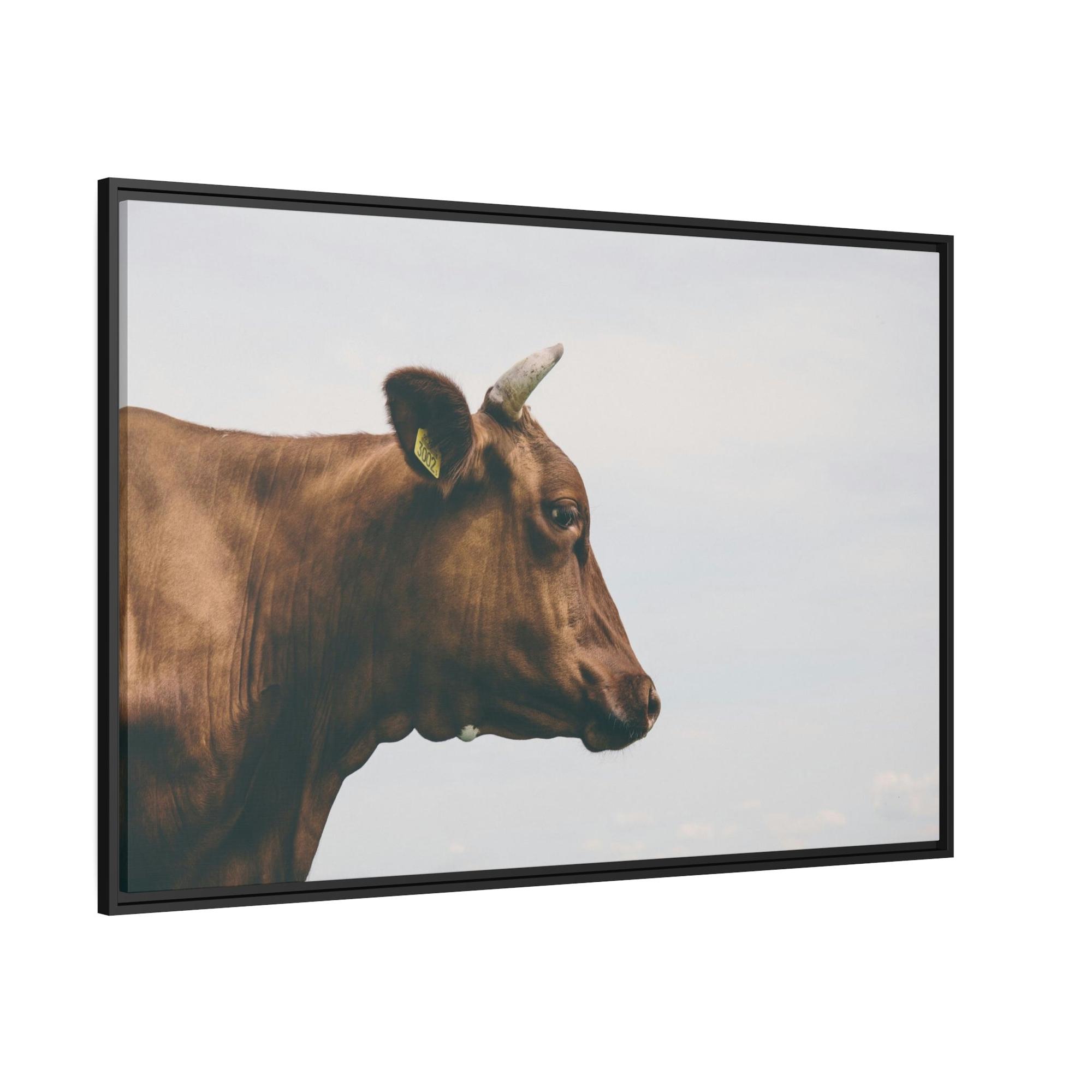 Highland Cow Scotch Highland Cattle - Wall Art | Animals Art
