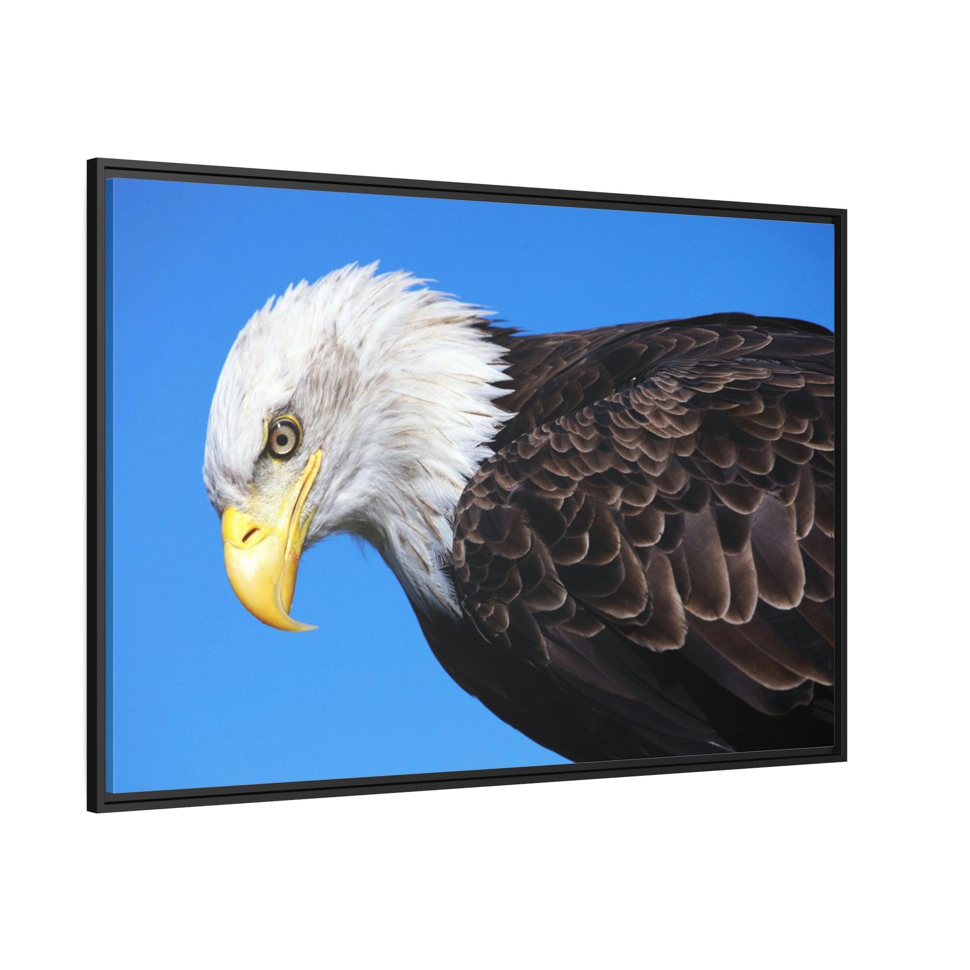 Eagles Eagle's Enchantment: Artistic Canvas Print Conjuring the Magic of their Presence
