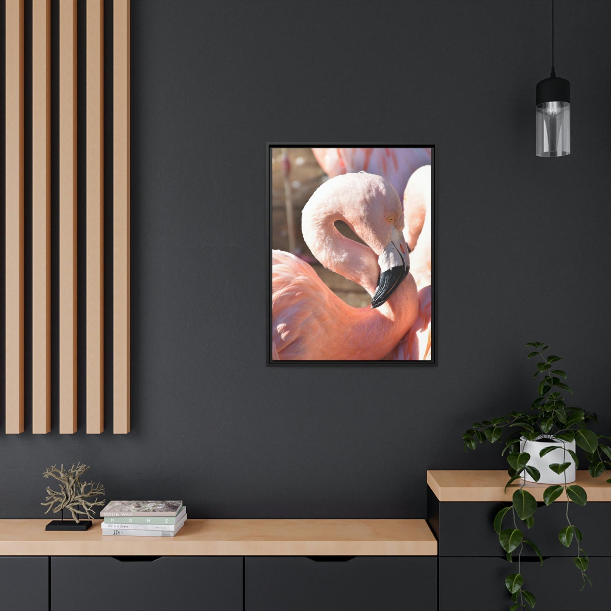 Flamingos Flamingo Reflections: A Canvas of Stillness and Serenity