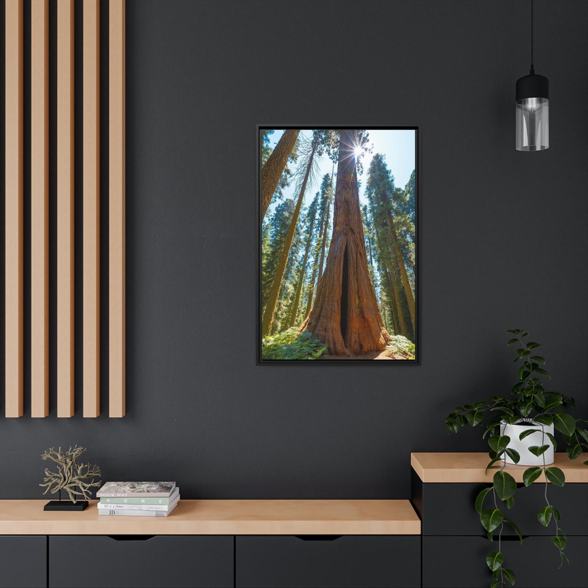 Redwood Trees Whispers from the Forest: Redwood Trees