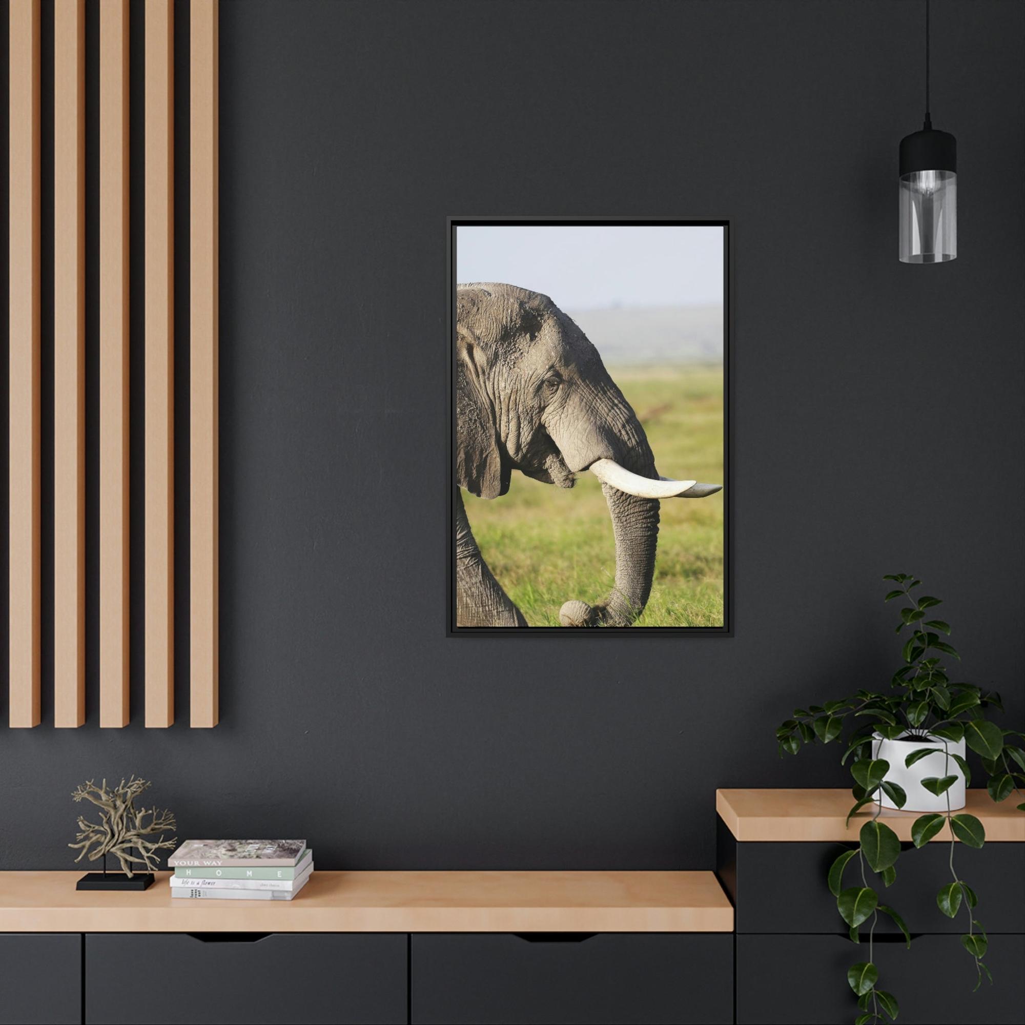 Safari A Walk on the Wild Side: An Up-Close Look at Africa's Most Magnificent Creatures