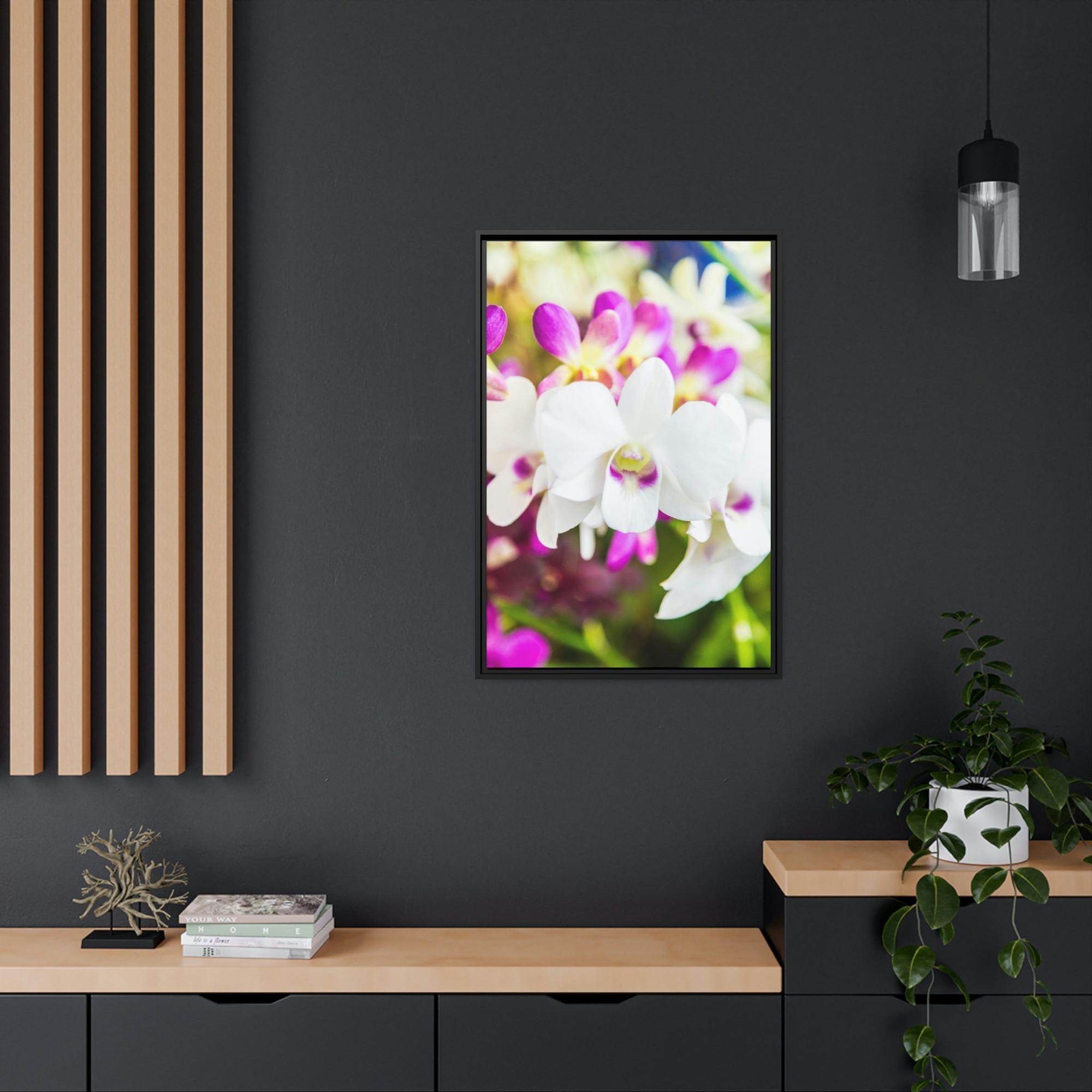 Orchids Orchid Garden: A Colorful Canvas Escape