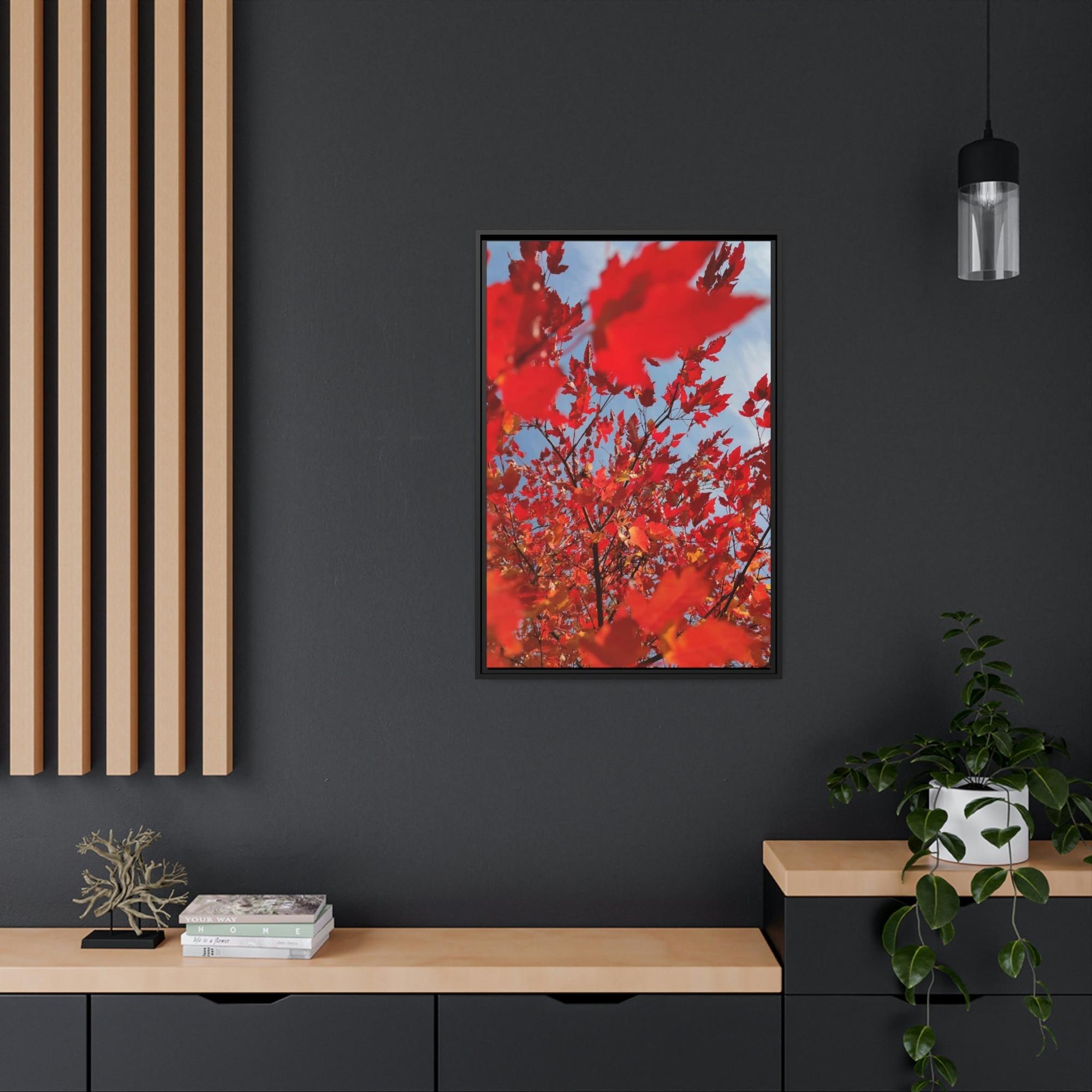 Maple Trees Autumn's Glow: Maple Trees in Bloom