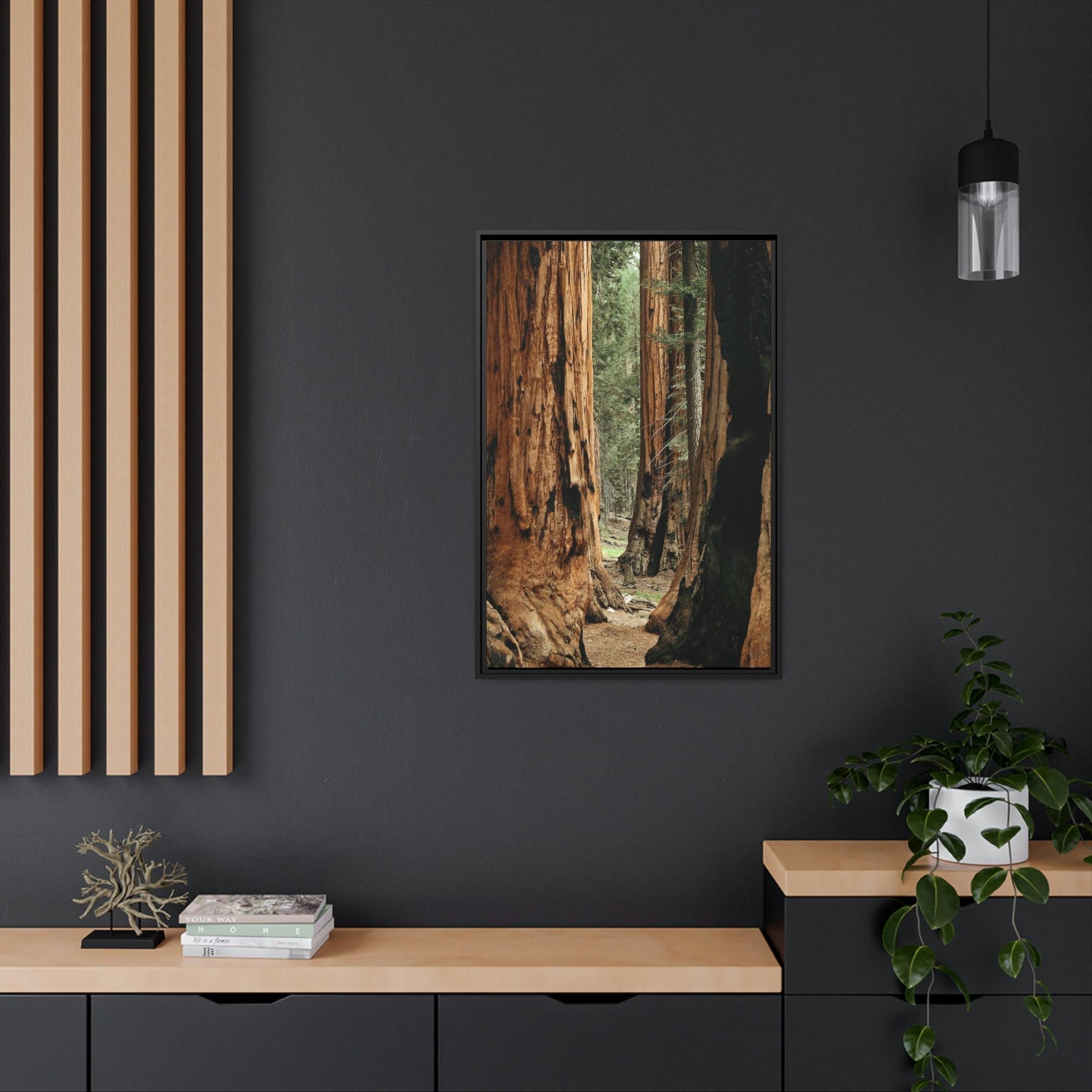 Trees Woodsy Whispers: A Peaceful Journey Through a Forest's Secrets