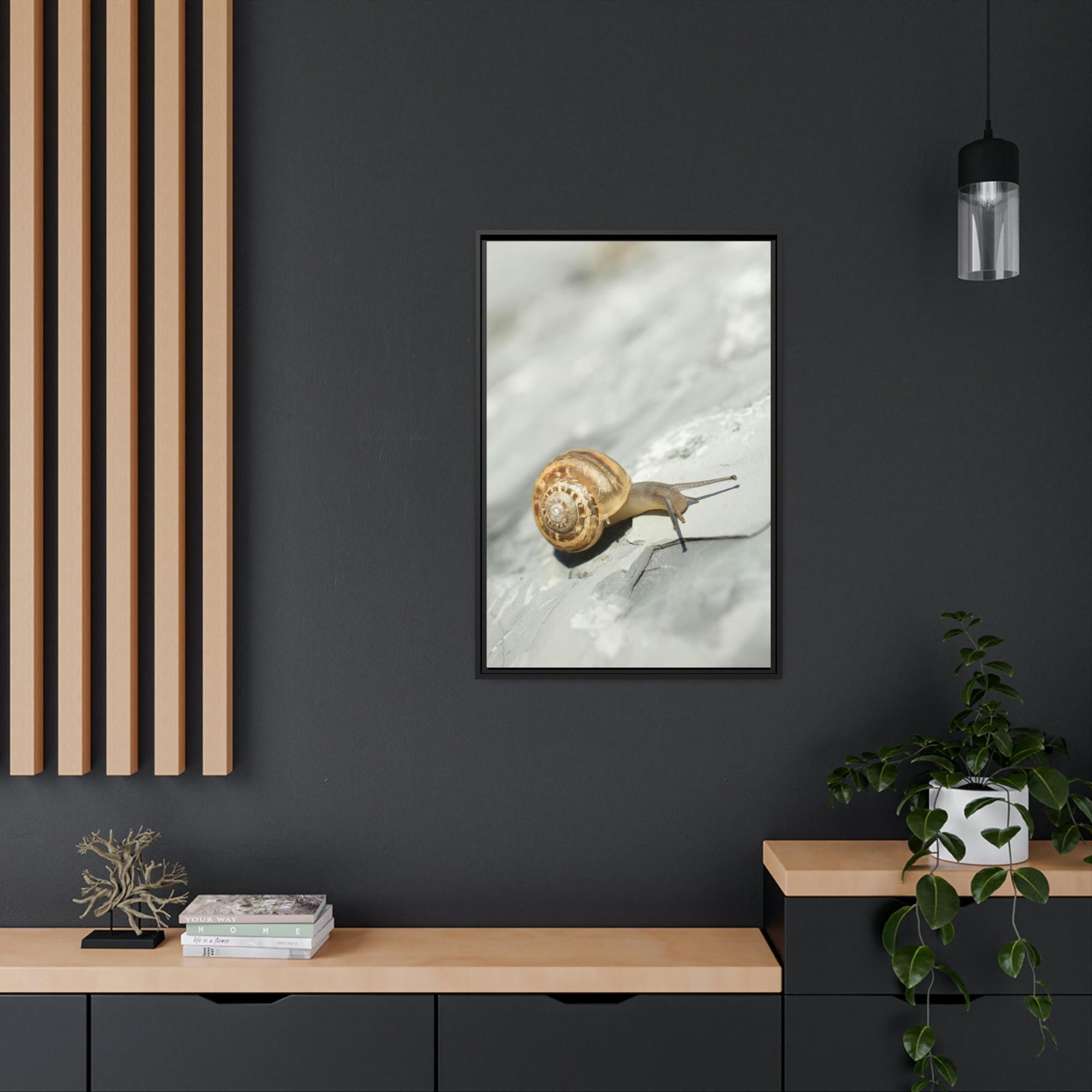 Snails A Snail's World: Life in Slow Motion