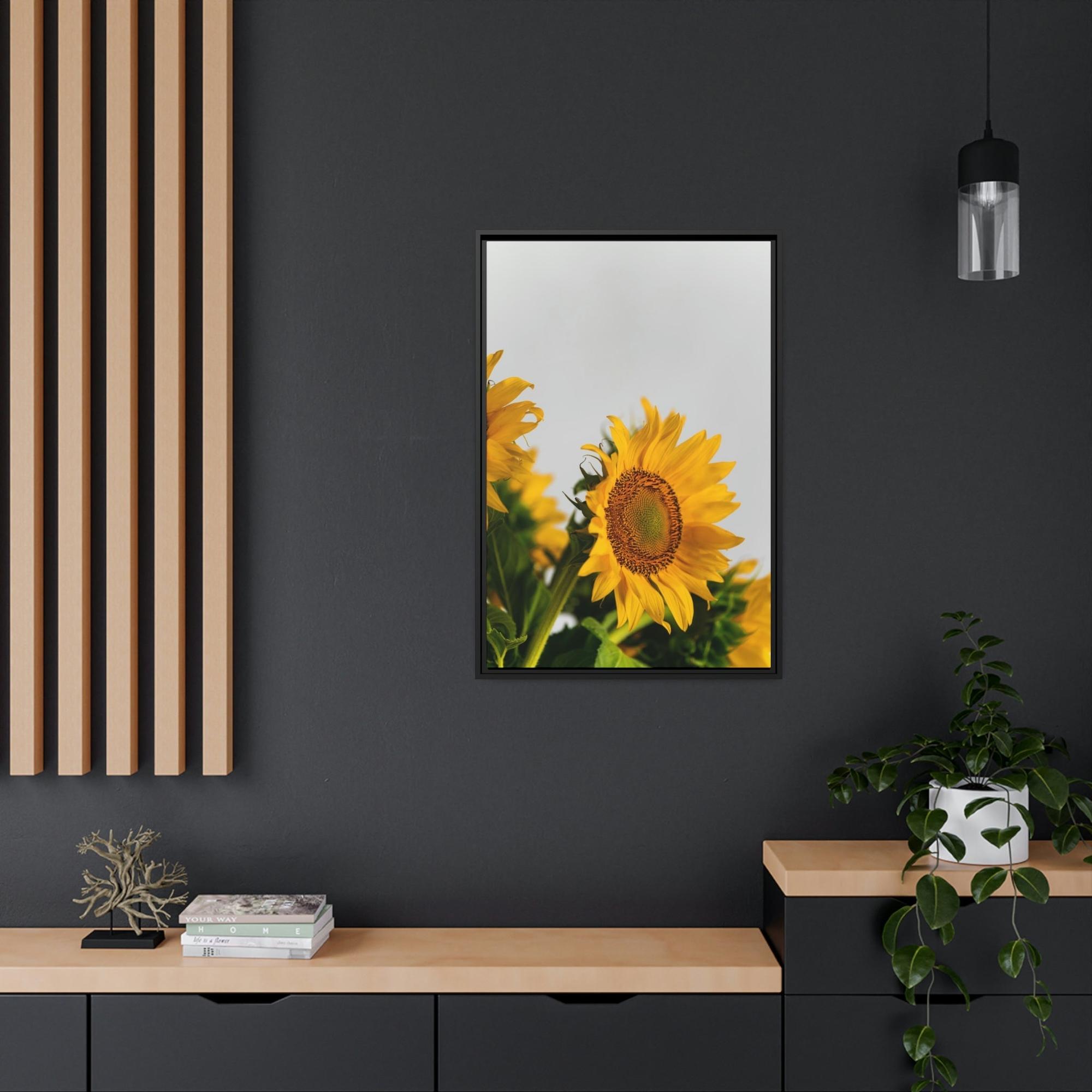 Sunflowers Sunny Delight: A Blissful and Cheerful Glimpse into the Beauty of Sunflowers