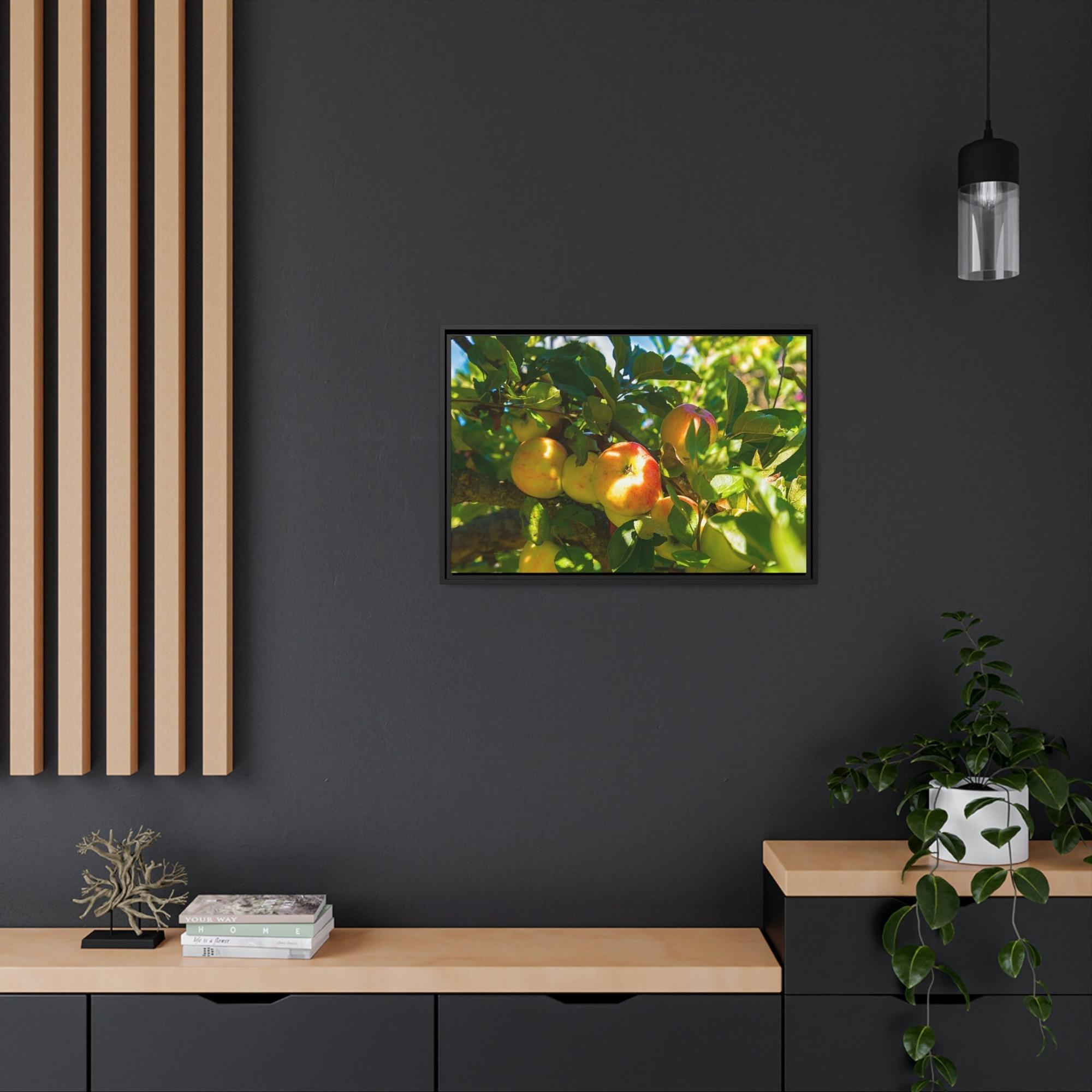 Apple Trees Serene Orchard: Framed Canvas & Poster of Apple Trees on a Sunny Day