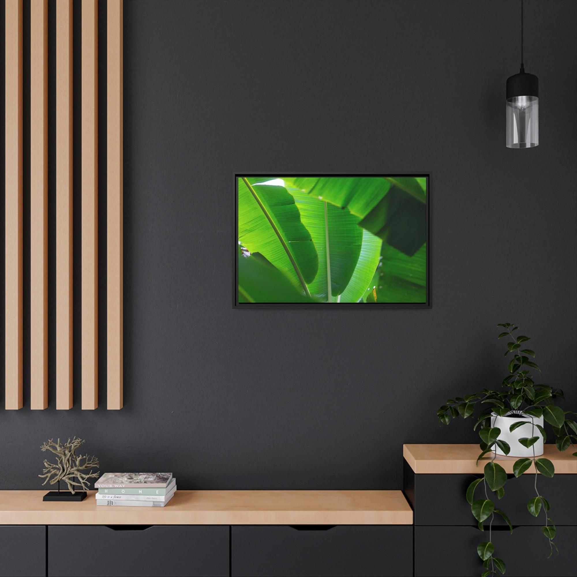 Banana Trees Exotic Foliage: Framed Poster of a Lush Banana Grove