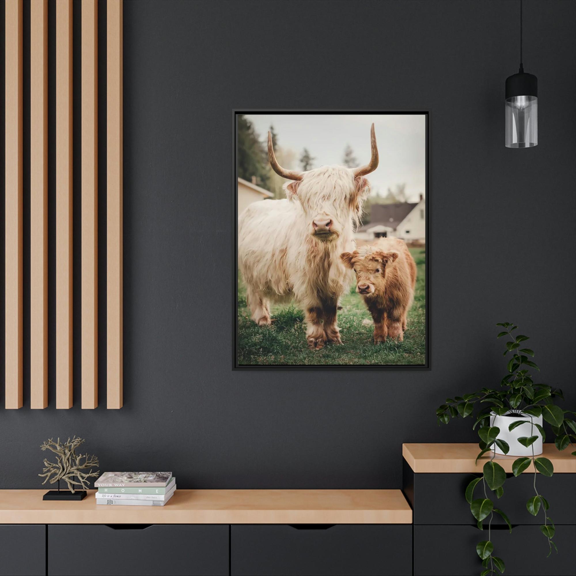 Highland Cow Highland Cow | White & Brown Highland Cows | Marvelous — Pixoram