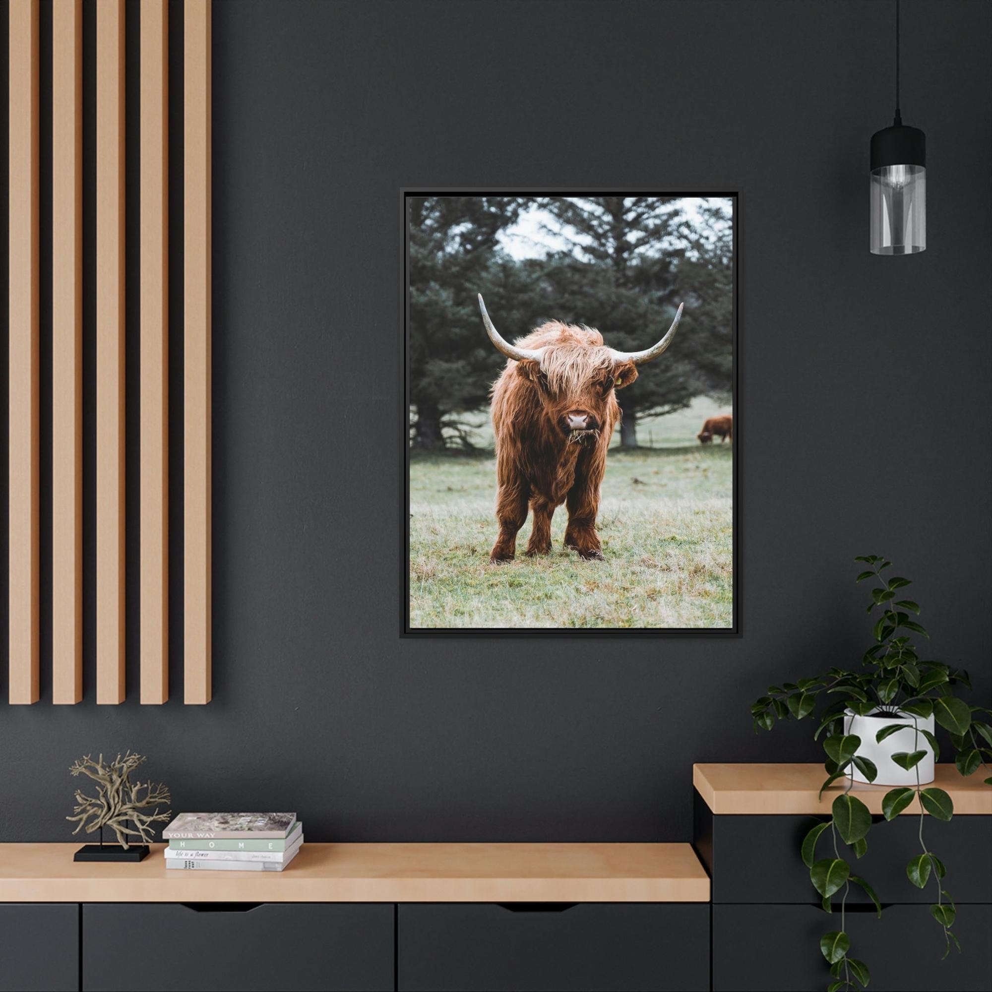 Highland Cow Scottish Cattle Breeds - Wall Art  | Animals Art