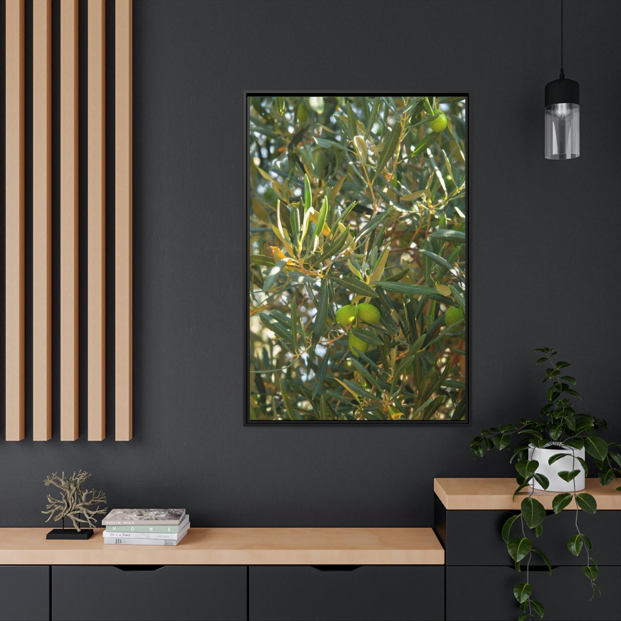 Olive Trees Mediterranean Groves: A Lush and Vibrant Ode to the Olive Trees of the South