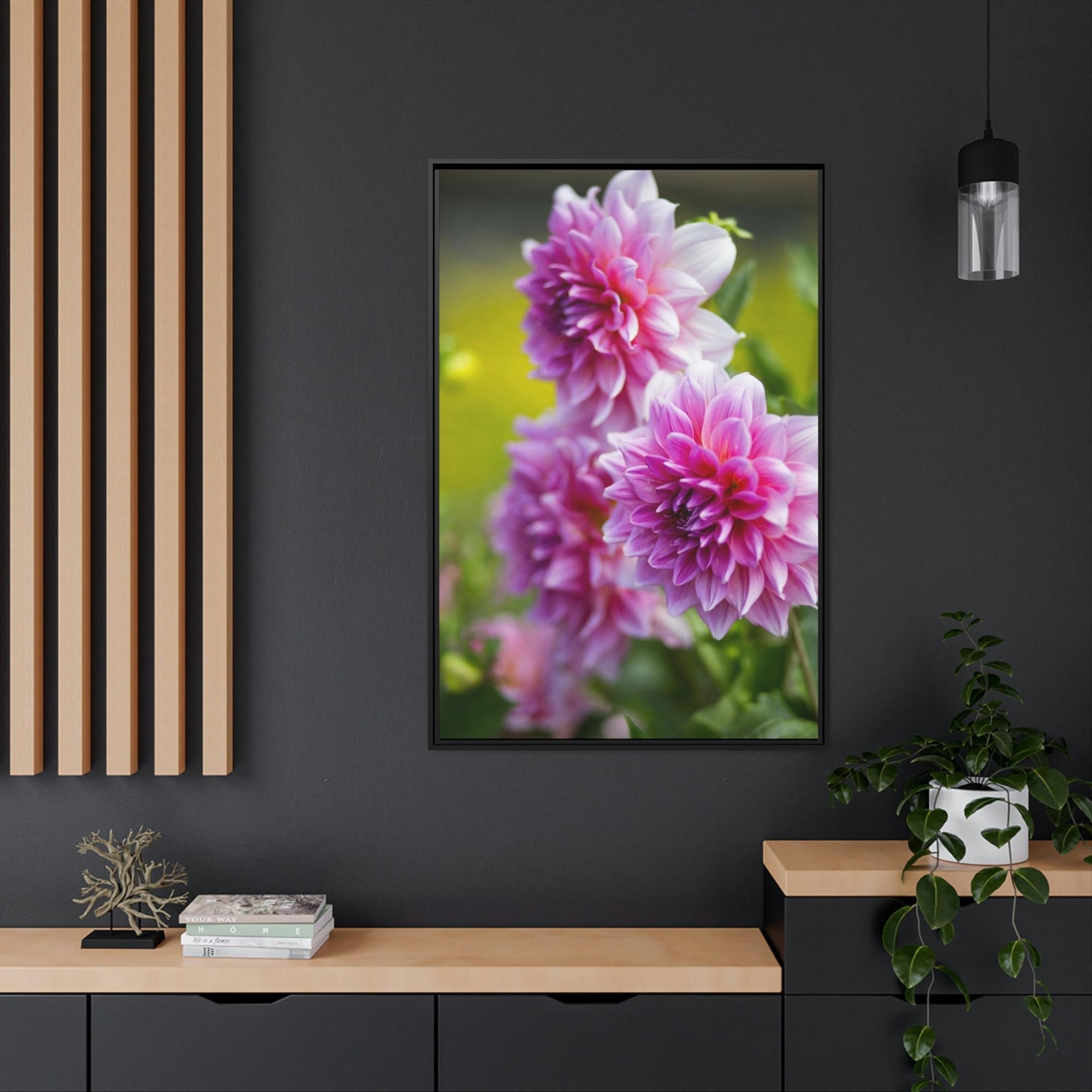 Dahlias Elegant Blooms: A Framed Canvas of Beautiful Dahlia Blossoms