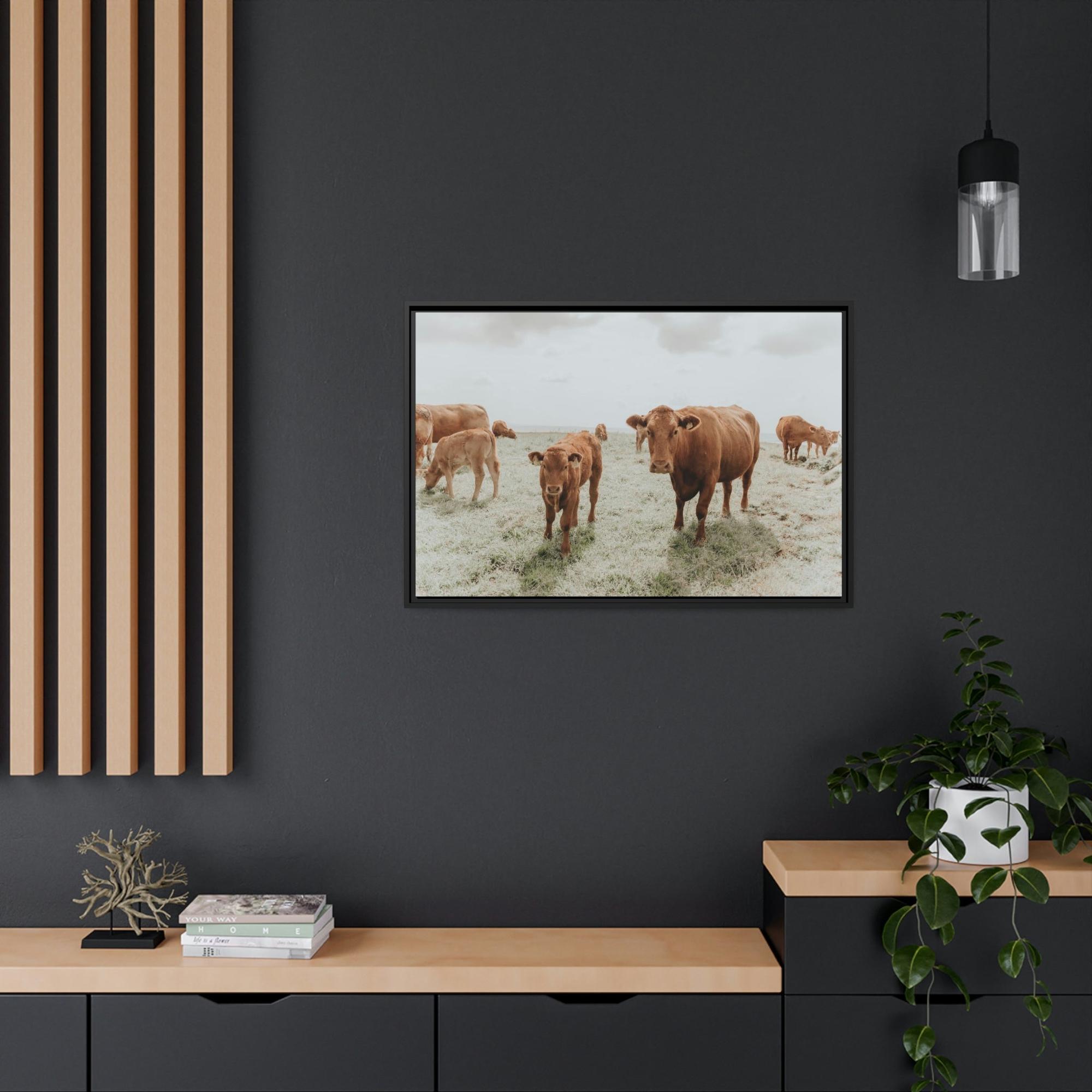 Cows Peaceful Pasture: Framed Canvas & Posters Print of Cow Grazing