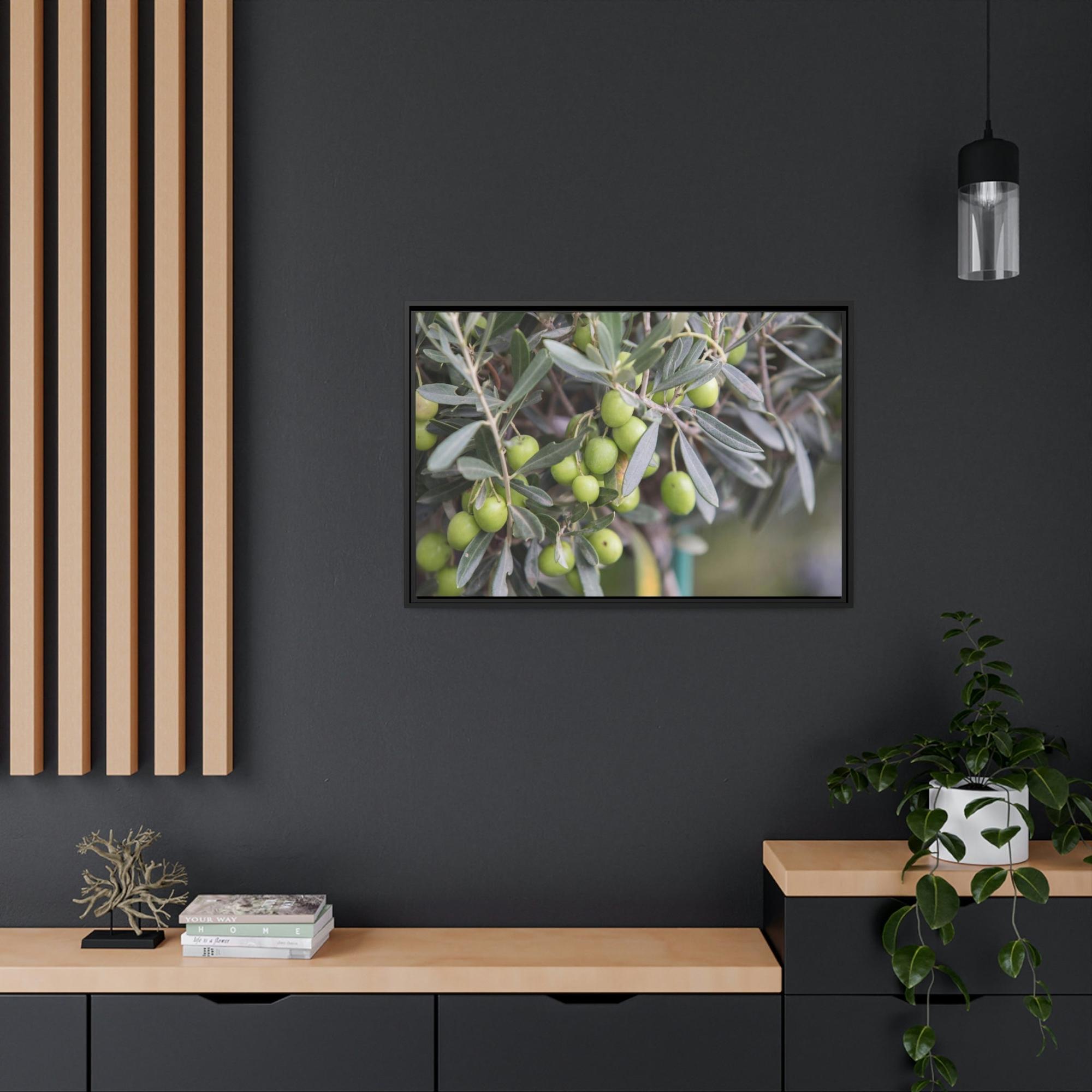 Olive Trees A Grove of Memories: A Nostalgic and Heartfelt Tribute to the Olive Trees' History