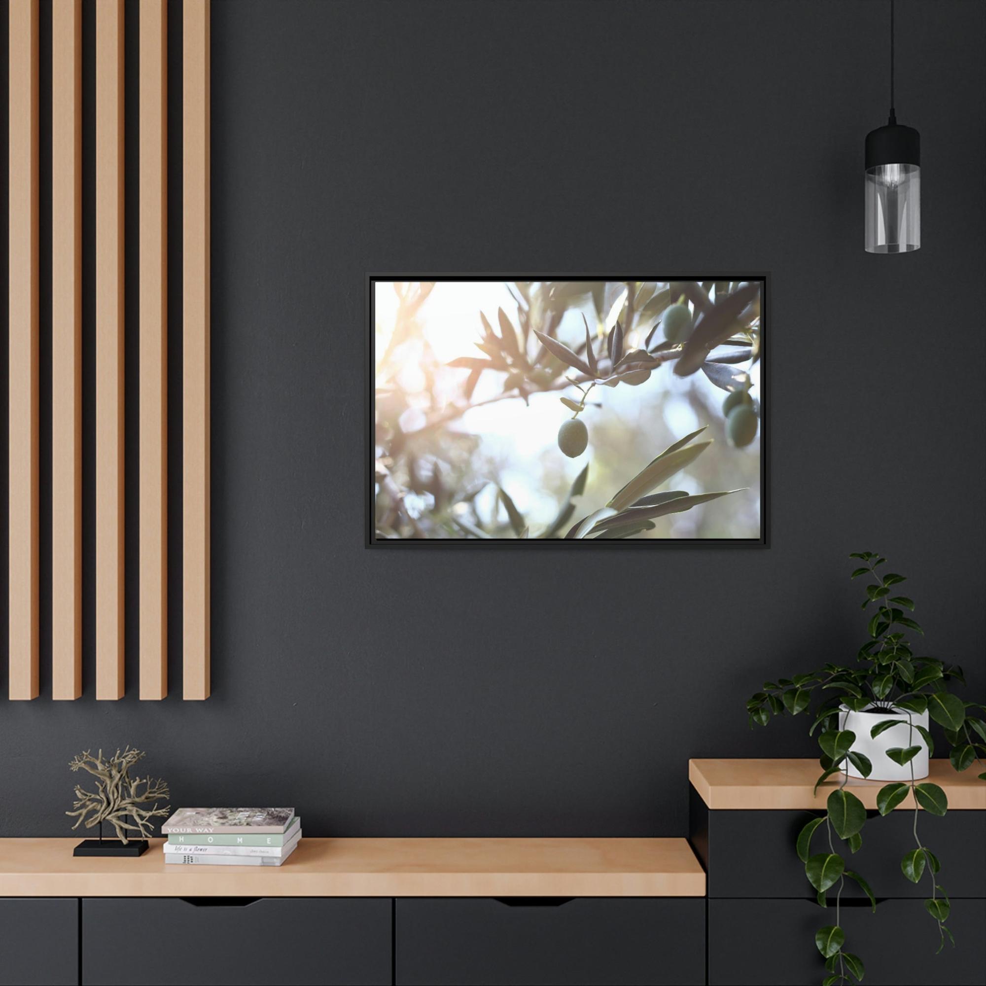 Olive Trees Ancient Wisdom: A Reverential and Timeless Homage to the Ancient Olive Trees