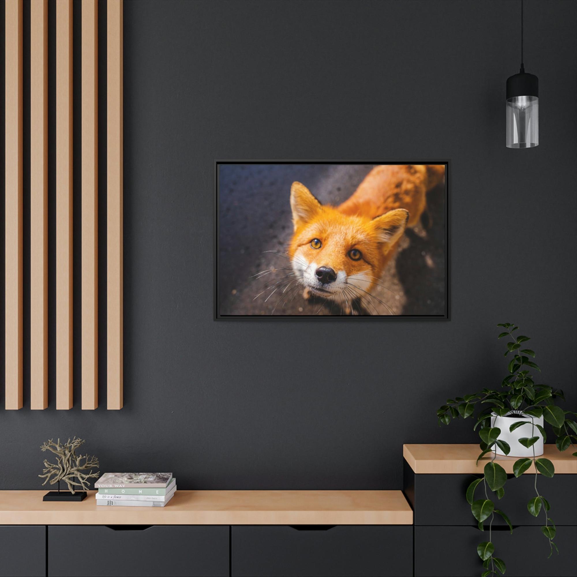 Fox The Mystic Fox: A Mysterious Enigma of the Natural World