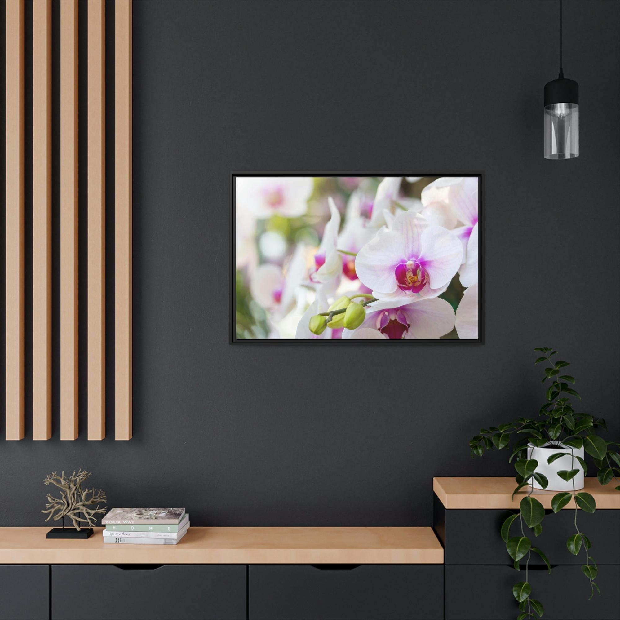 Orchids Floral Symphony: Orchids in Harmony