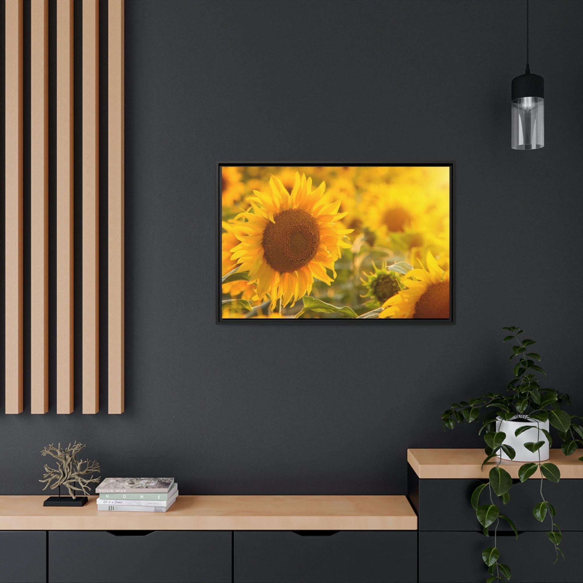 Sunflowers Golden Blooms: A Vibrant Ode to the Beauty of Sunflowers