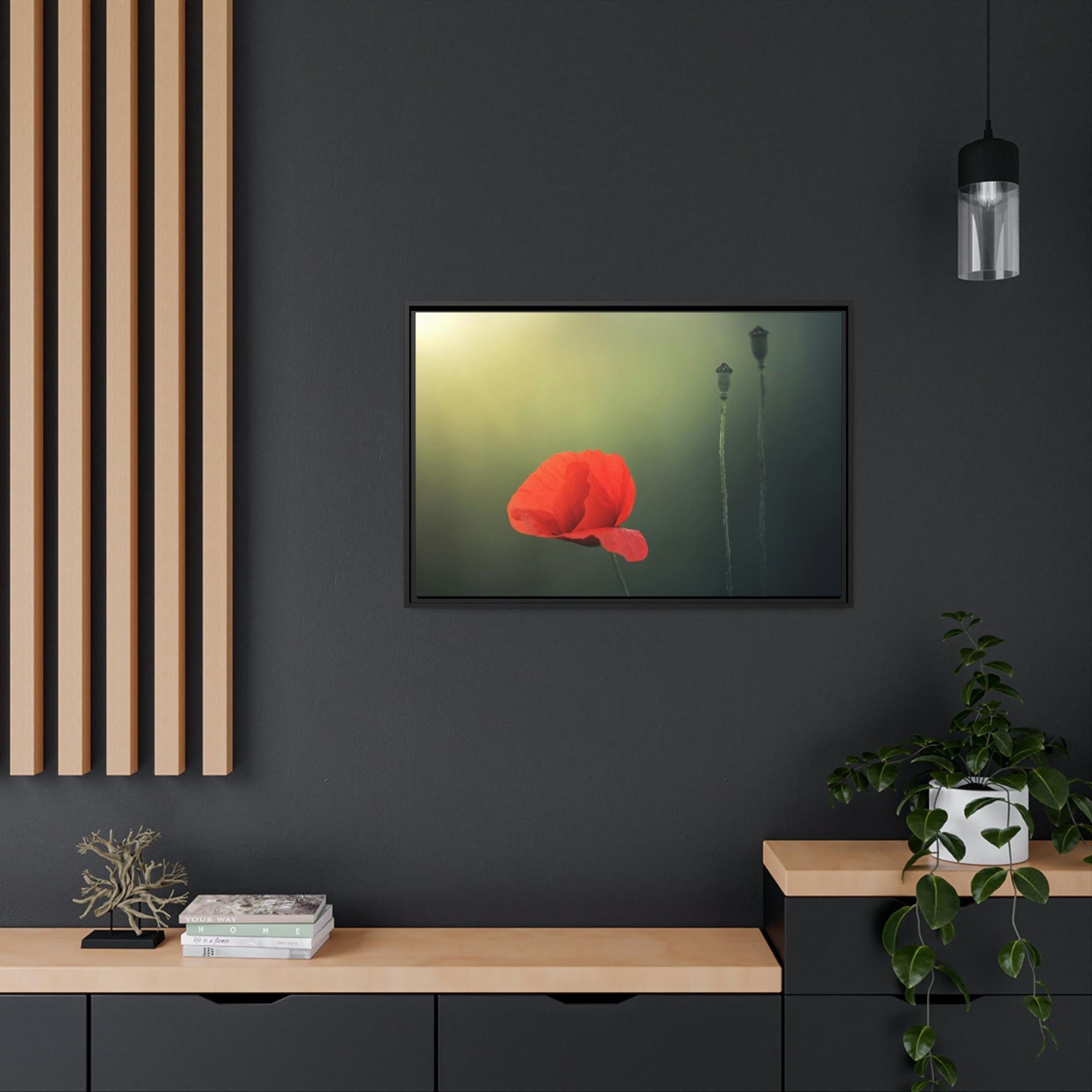 Poppies Pure and Simple: A Painting of a White Poppy as a Symbol of Purity