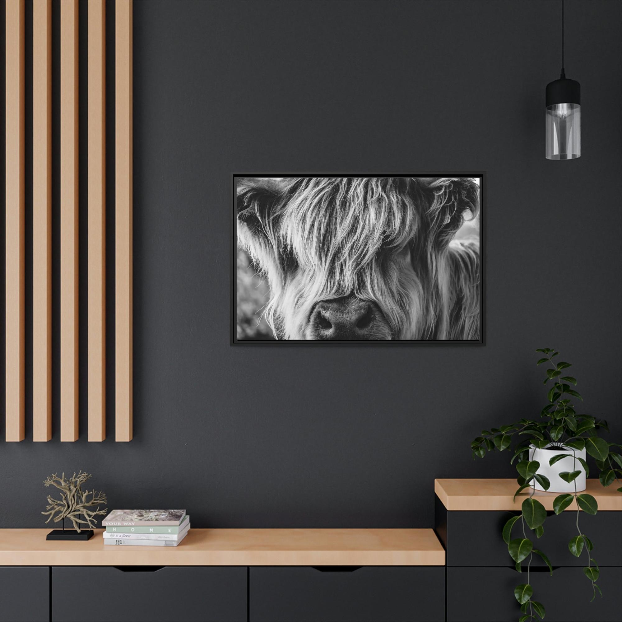 Highland Cow Highland Cow | Close-up View of Fluffy Buffalo on Canvas — Pixoram