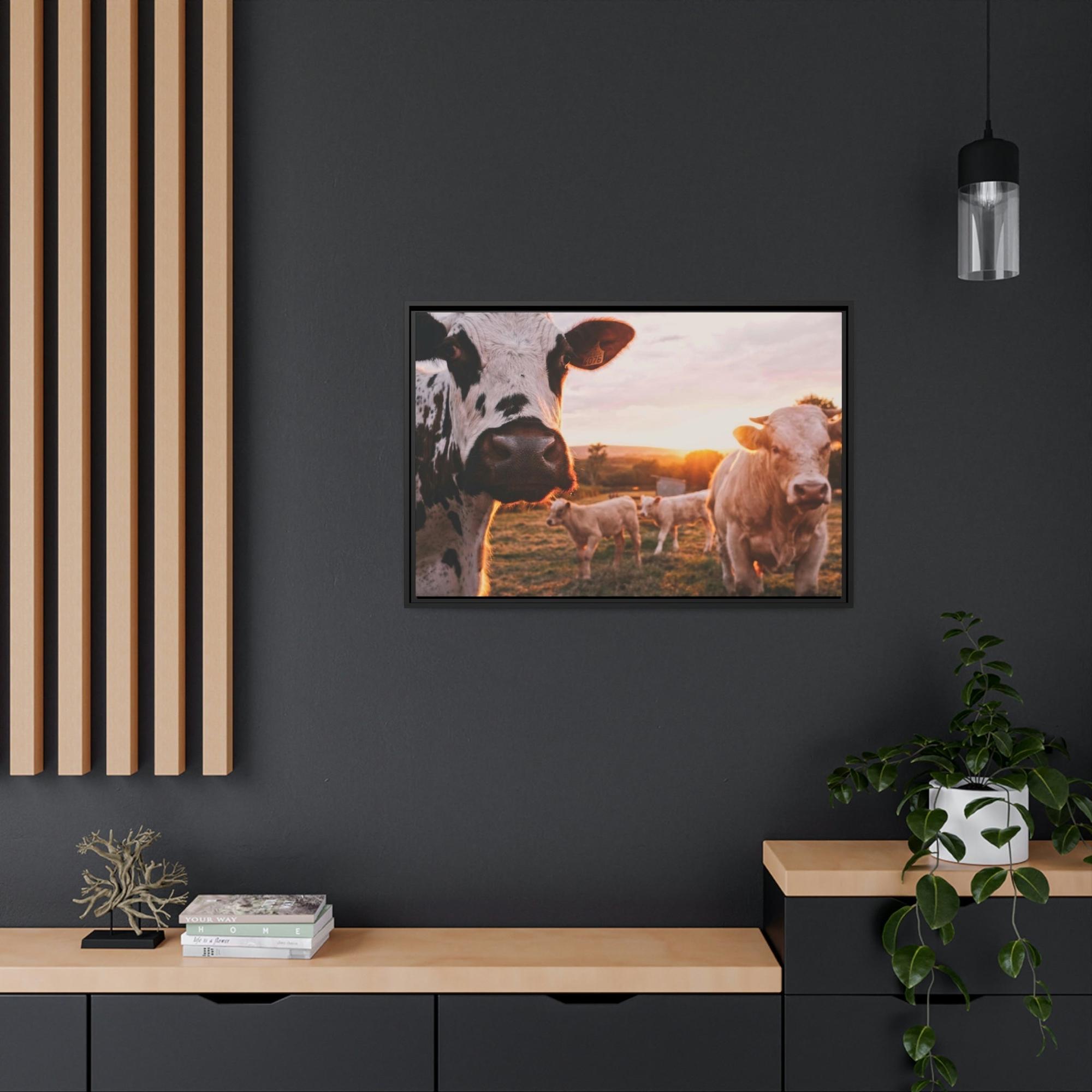 Cows The Grazing Herd: Natural Canvas Print of Cows in the Field