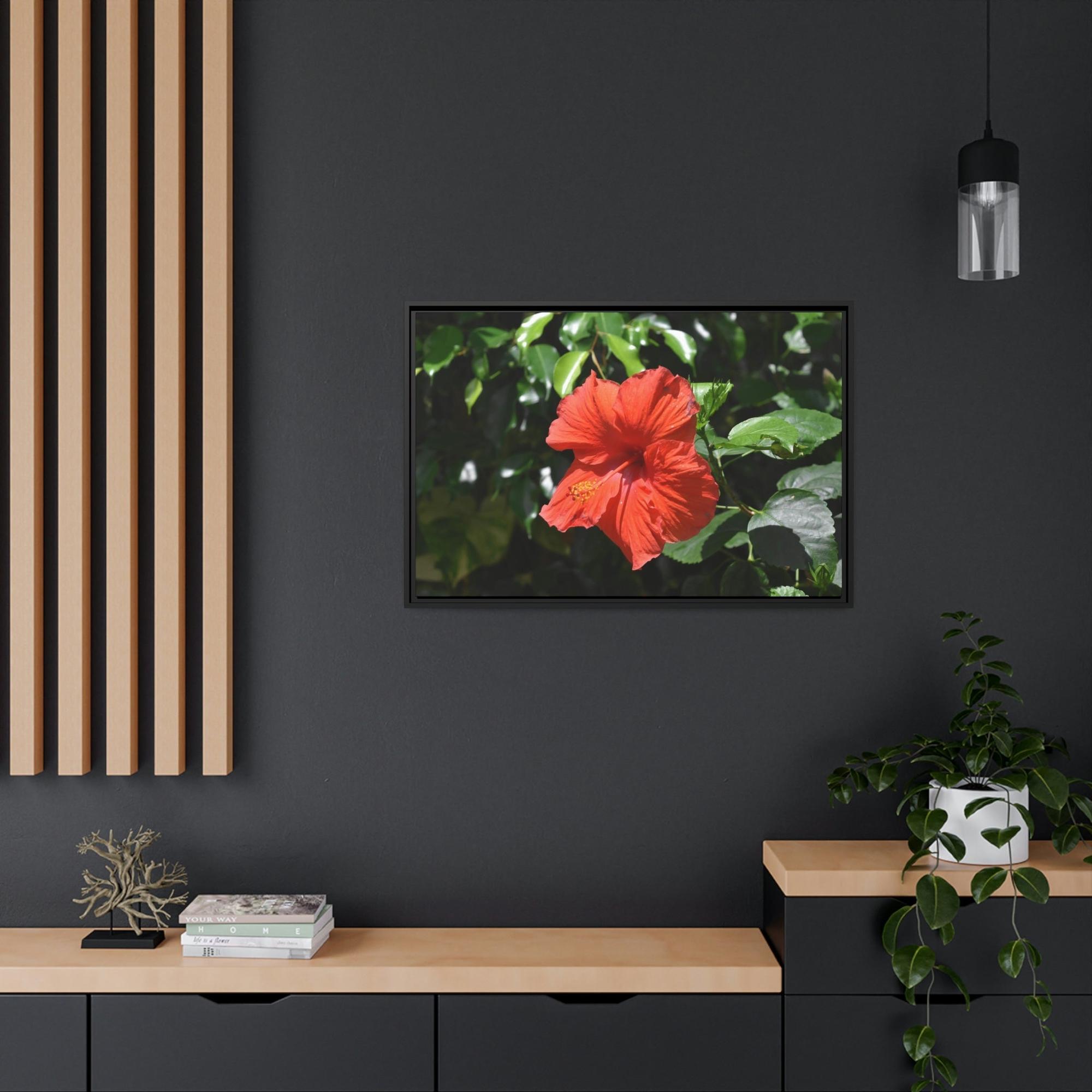 Hibiscuses The Charismatic Hibiscuses: A Vivid Showcase of Nature's Grace and Elegance