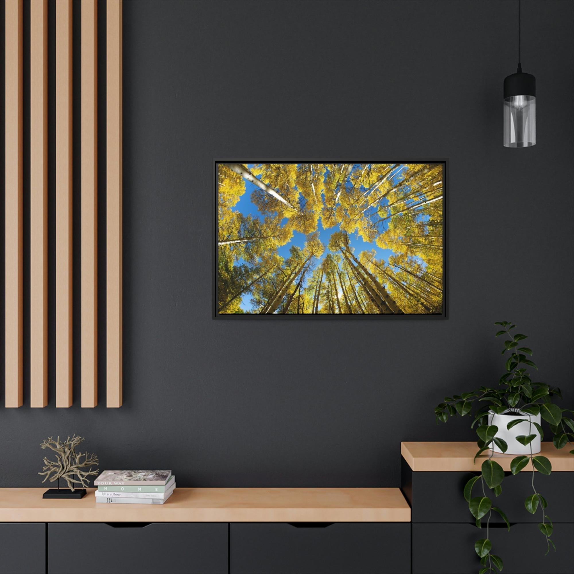 Birch Trees The Beauty of Nature: Rustic Framed Canvas Print of a Birch Tree Grove