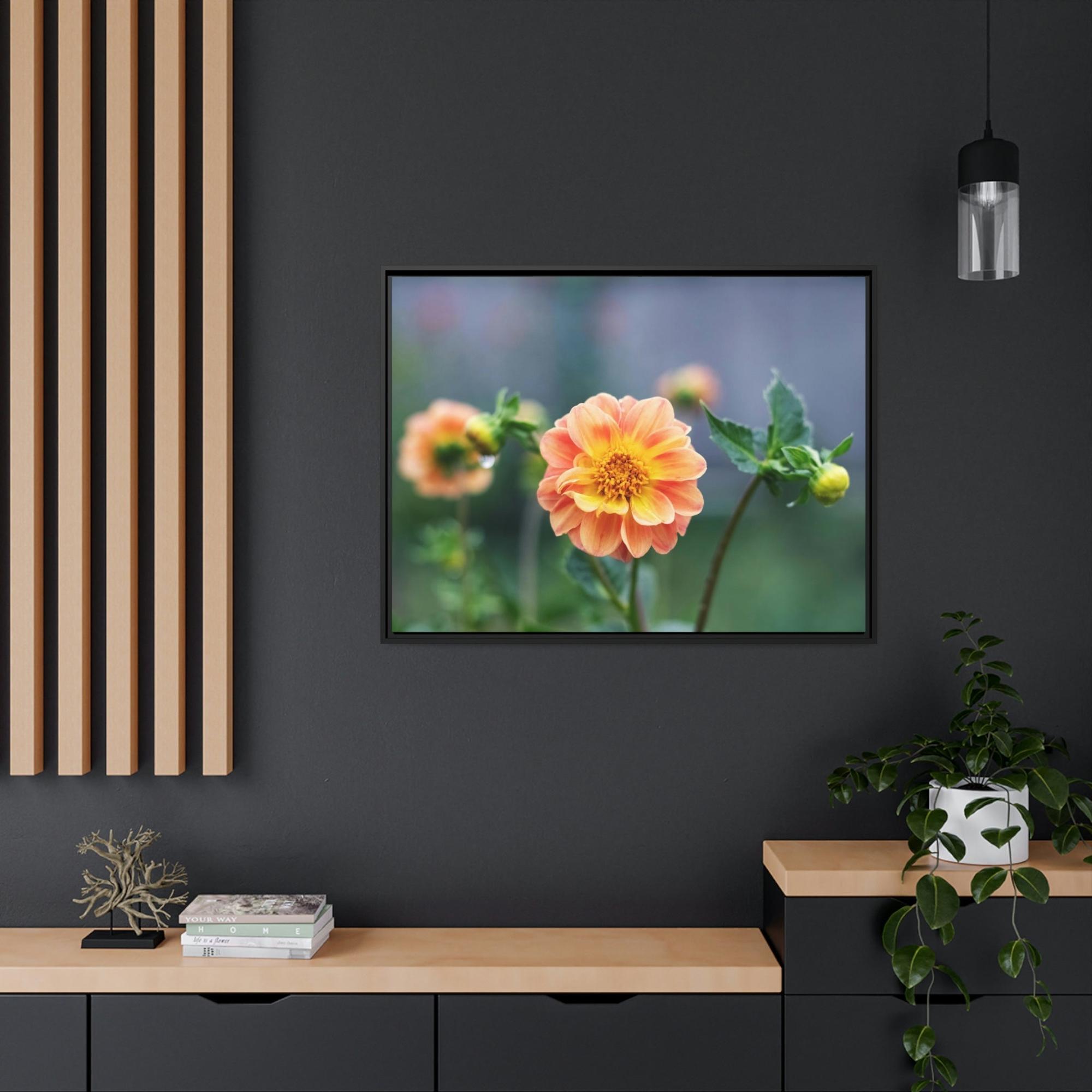 Dahlias The Joy of Dahlias: A Poster of These Bright and Beautiful Flowers
