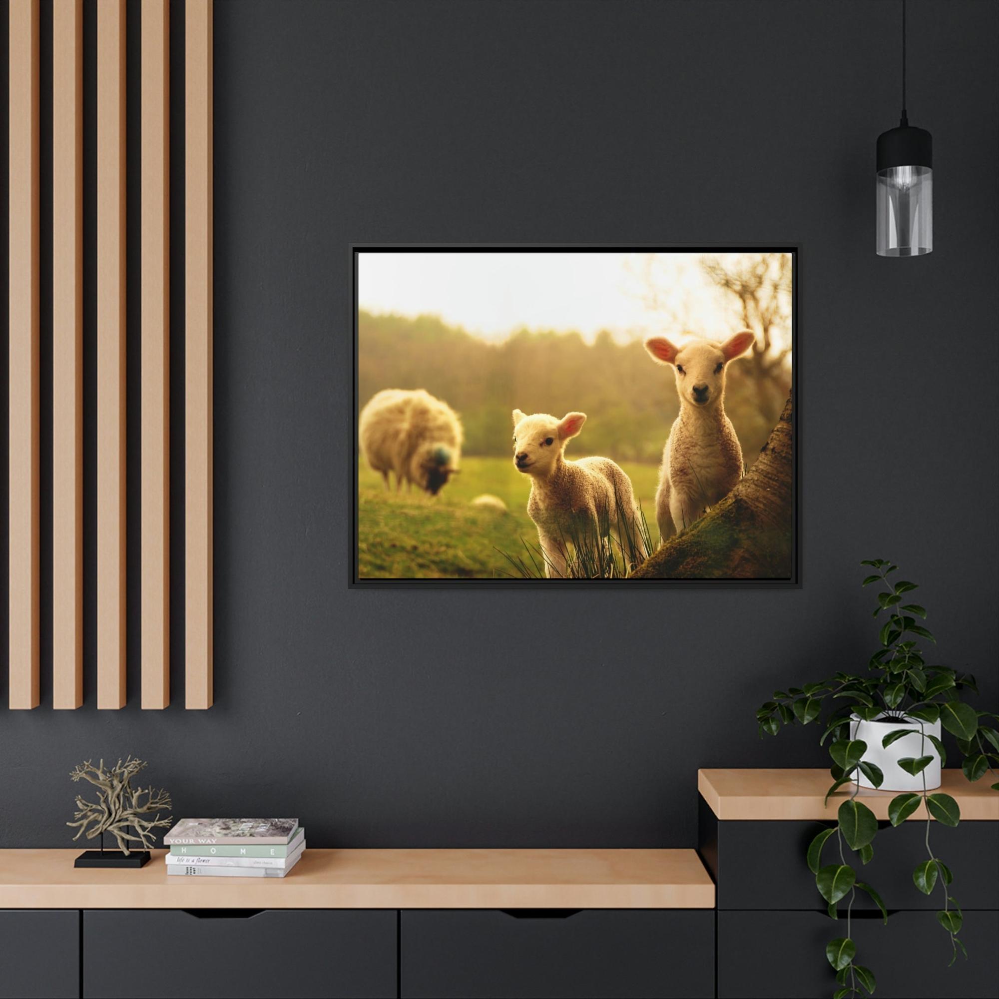 Sheeps Rustic Charm: Framed Poster & Canvas of Sheep Grazing