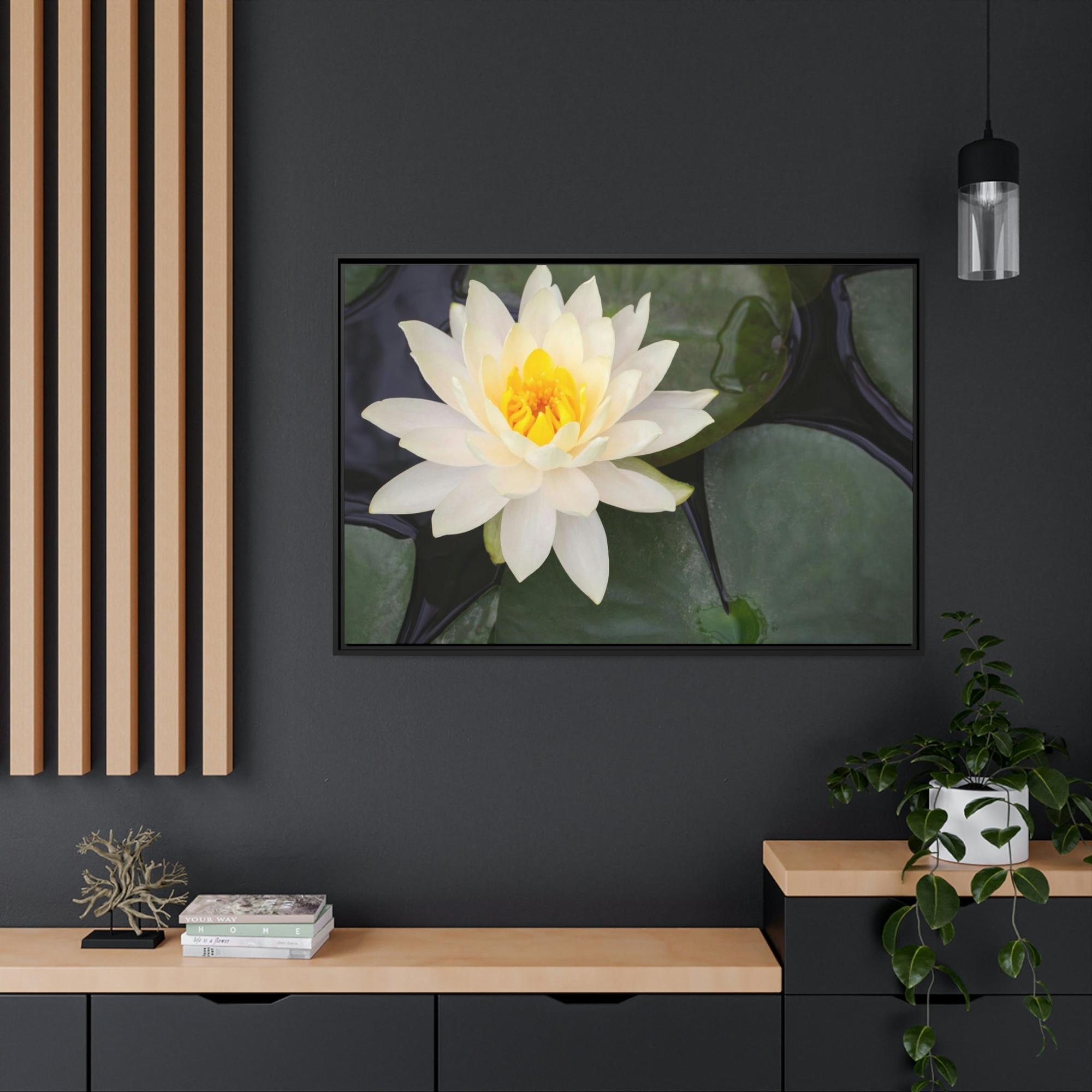 Lilies & Waterlily Lily Serenade: A Symphony of Floral Beauty