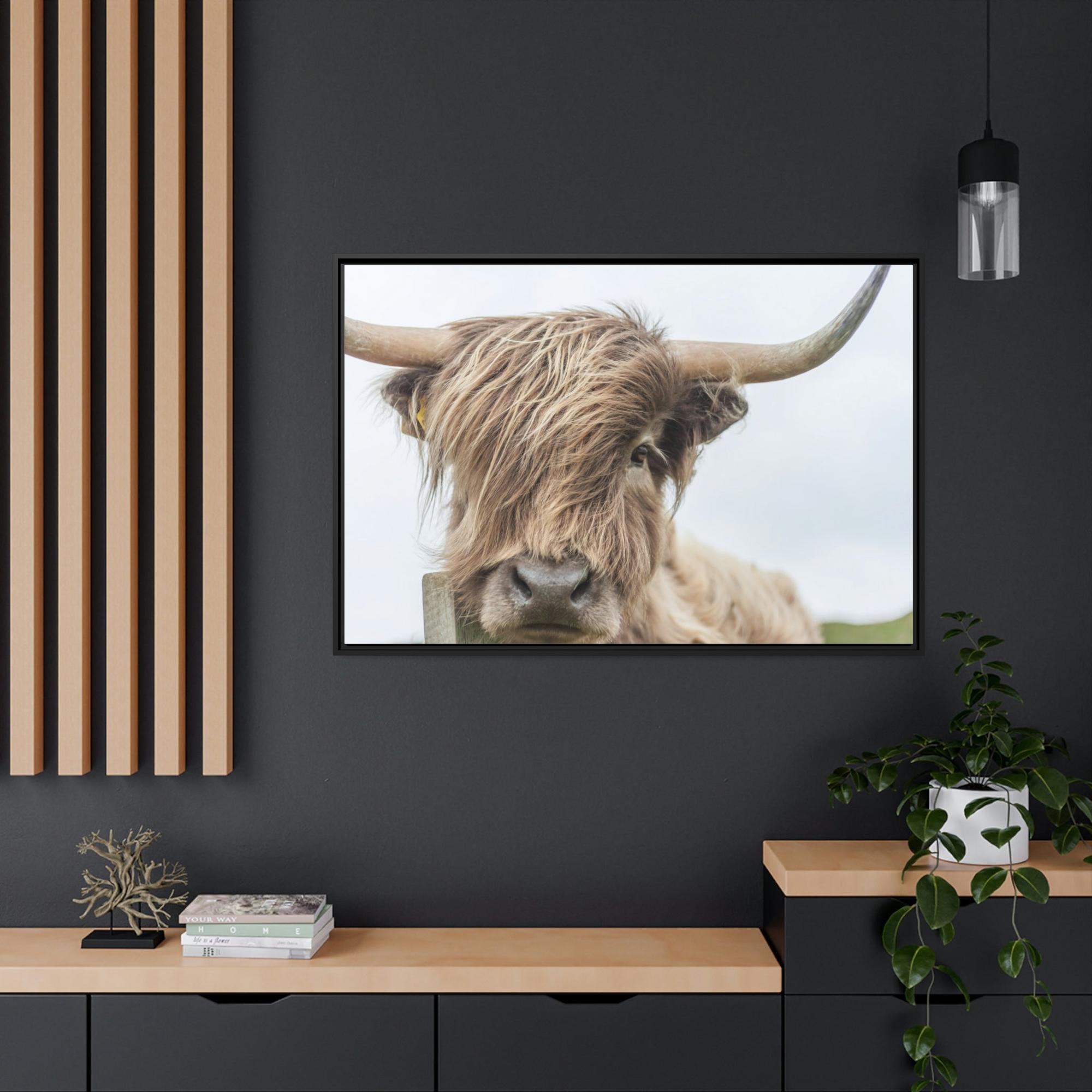 Highland Cow Wilderness Wonder: Wall Art on Canvas of a Majestic Highland Cow in the Wild