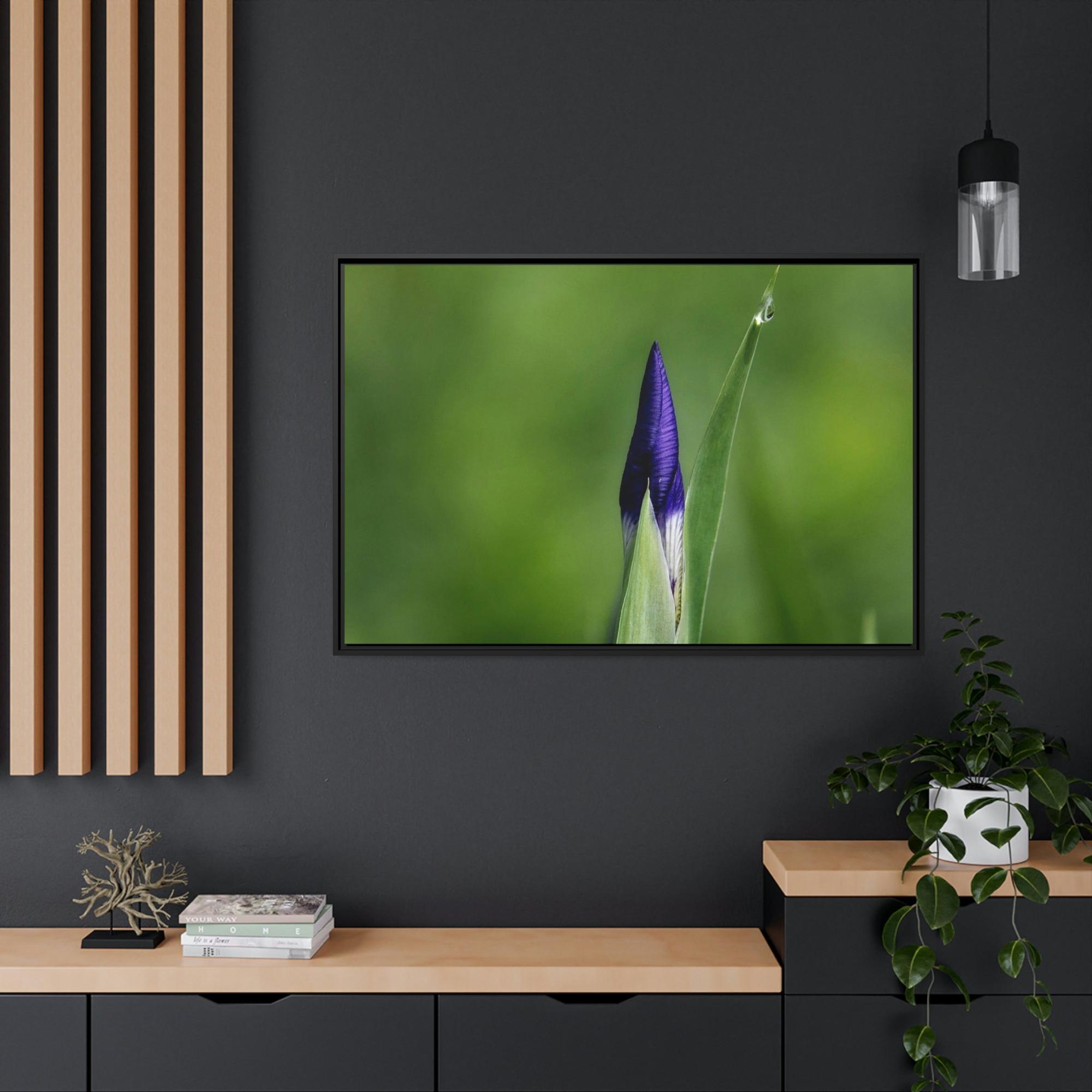 Irises Irise in Bloom: A Canvas of Melodic Petals and Fragrances