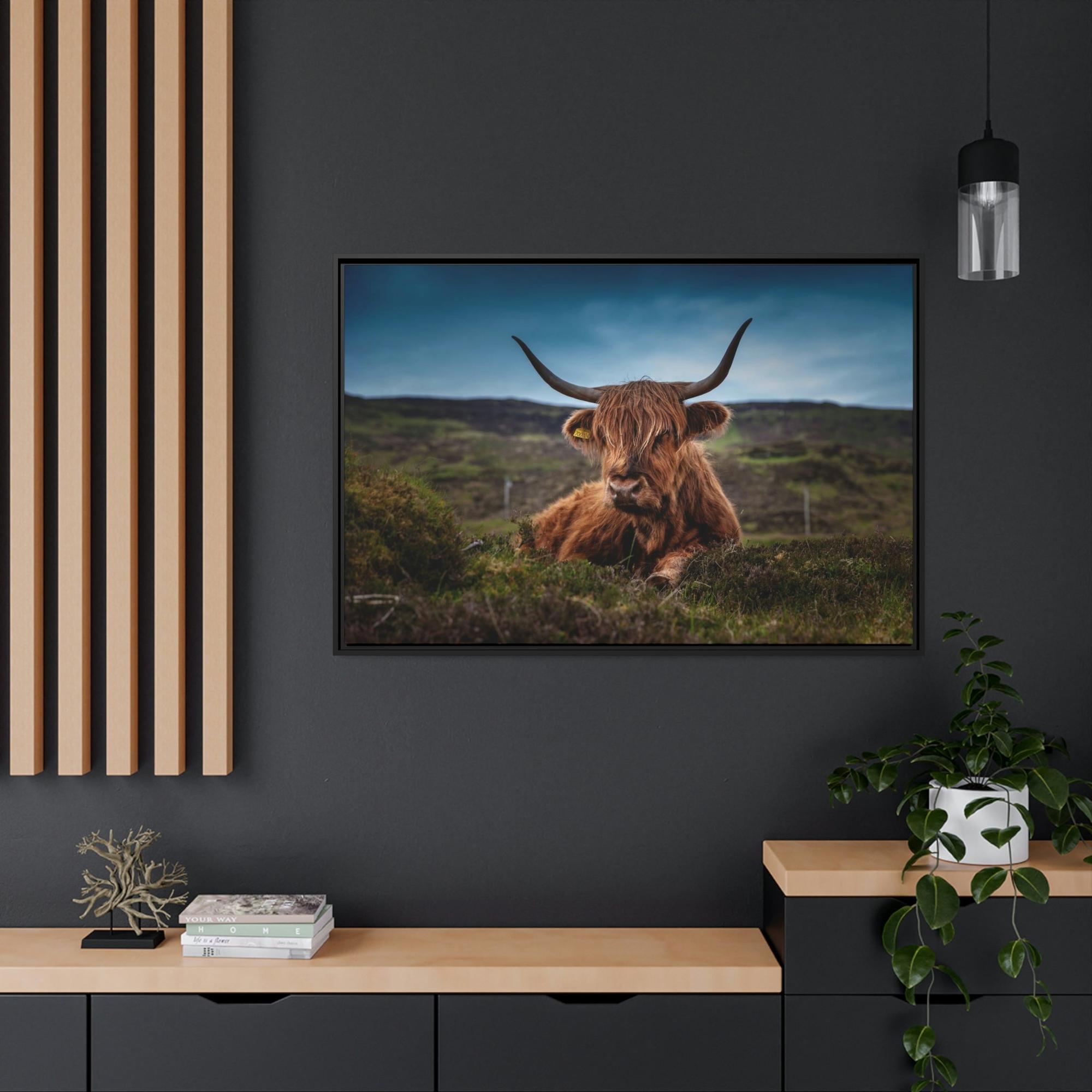 Highland Cow Scottish Longhorn Cattle - Canvas Art | Animals Art