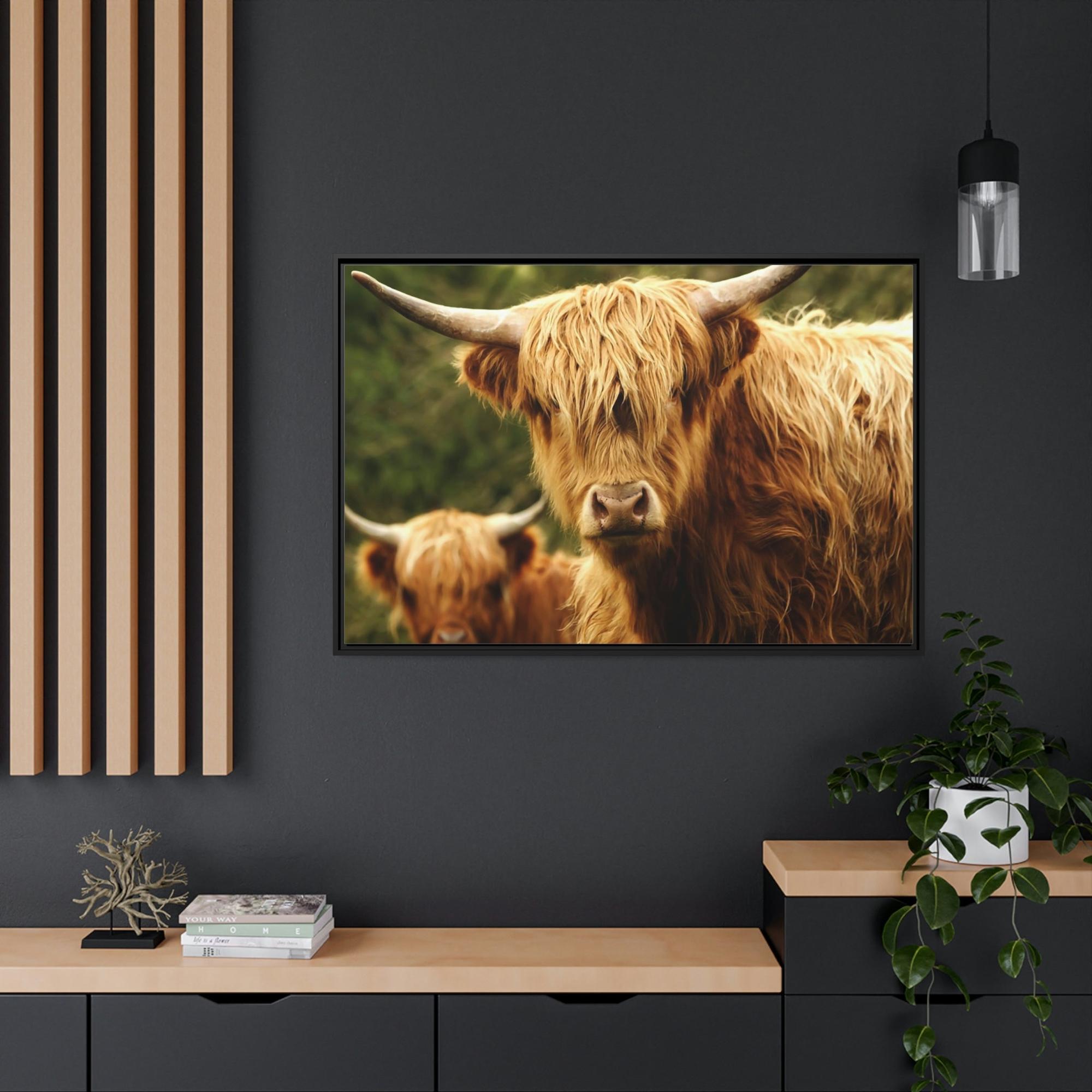 Highland Cow Highland Cow Family Grazing: Poster & Framed Wall Art
